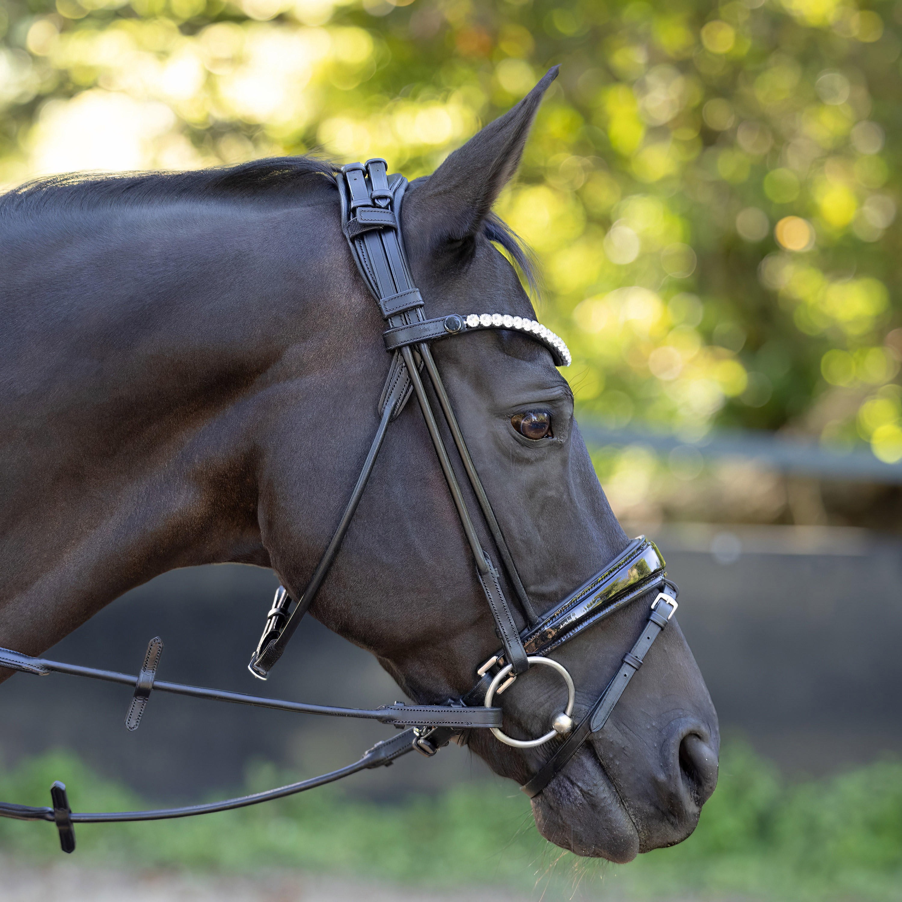 Trense-ProLine-Muenchen-Rund-Zaumhaken-mit-Sperrriemen-WB-V