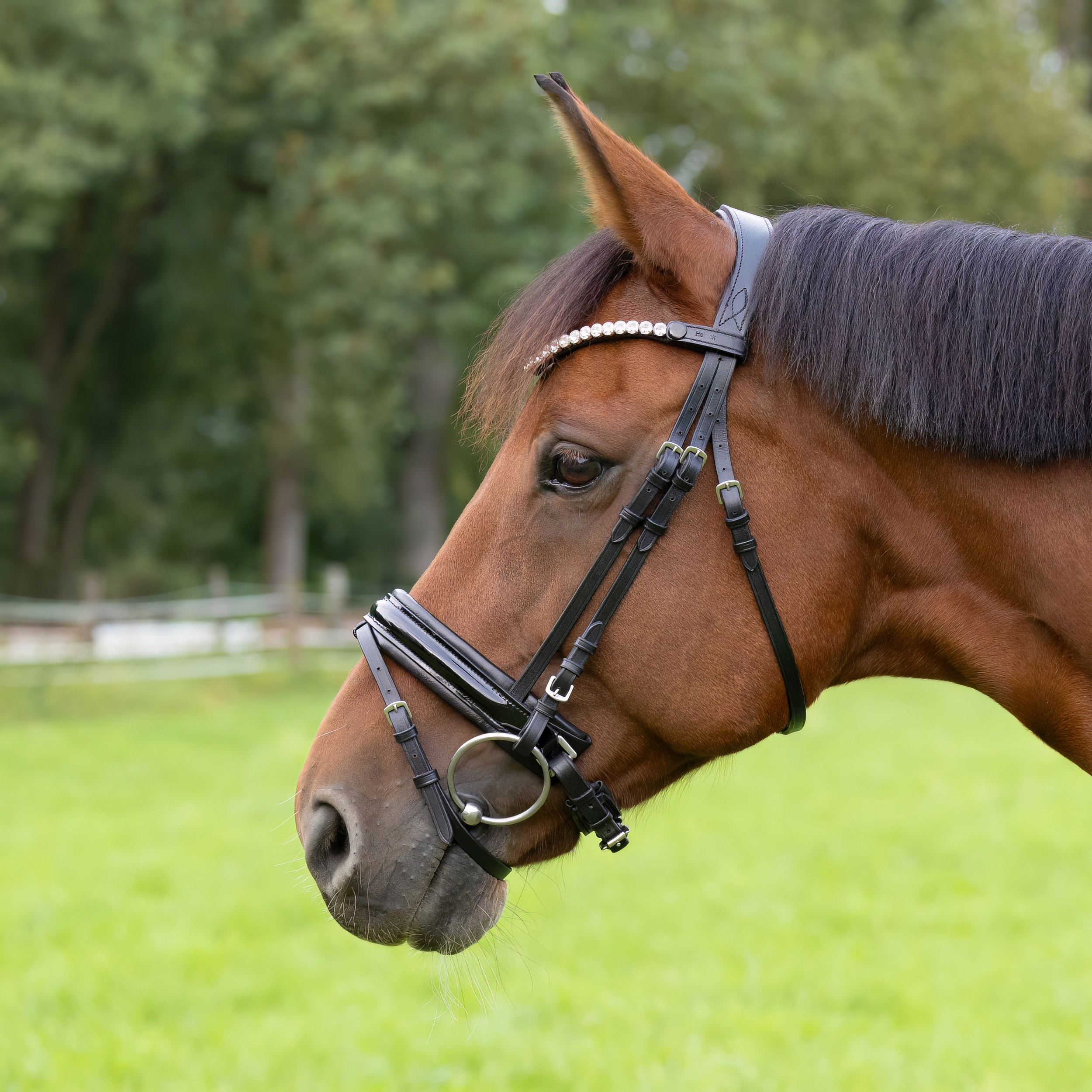 Trense-Extra-Breites-Reithalfter-Motion-Schwarz-Lack-Glow-Silver