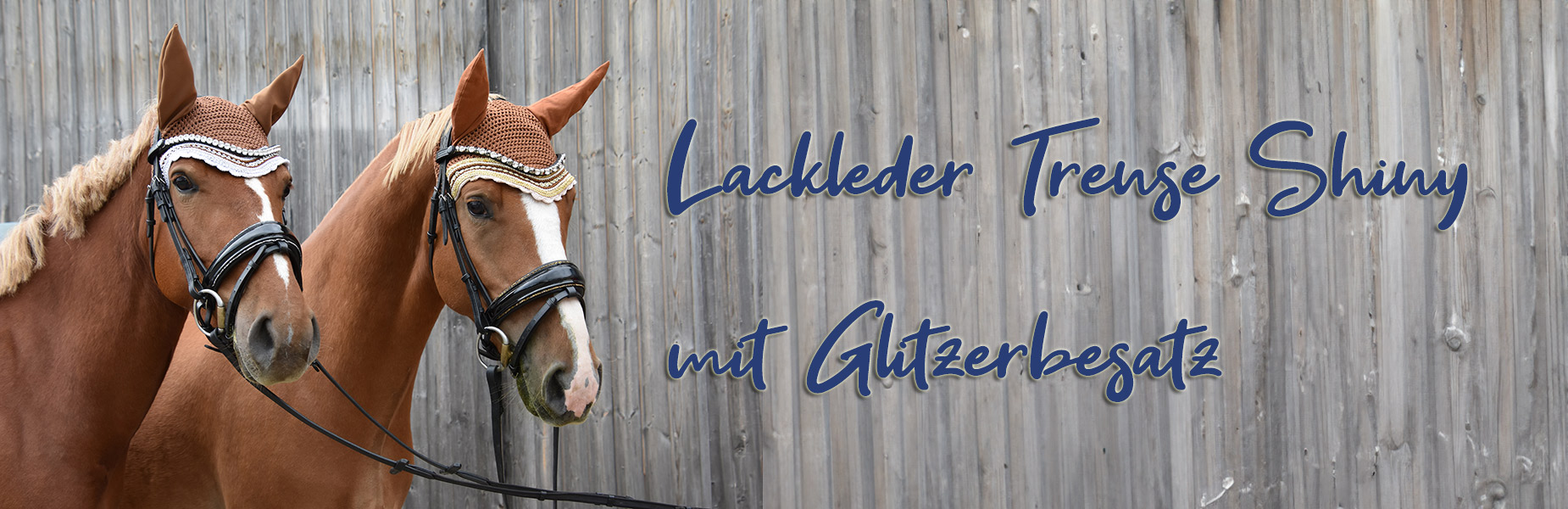 Trense-Shiny-Schwarz-Banner