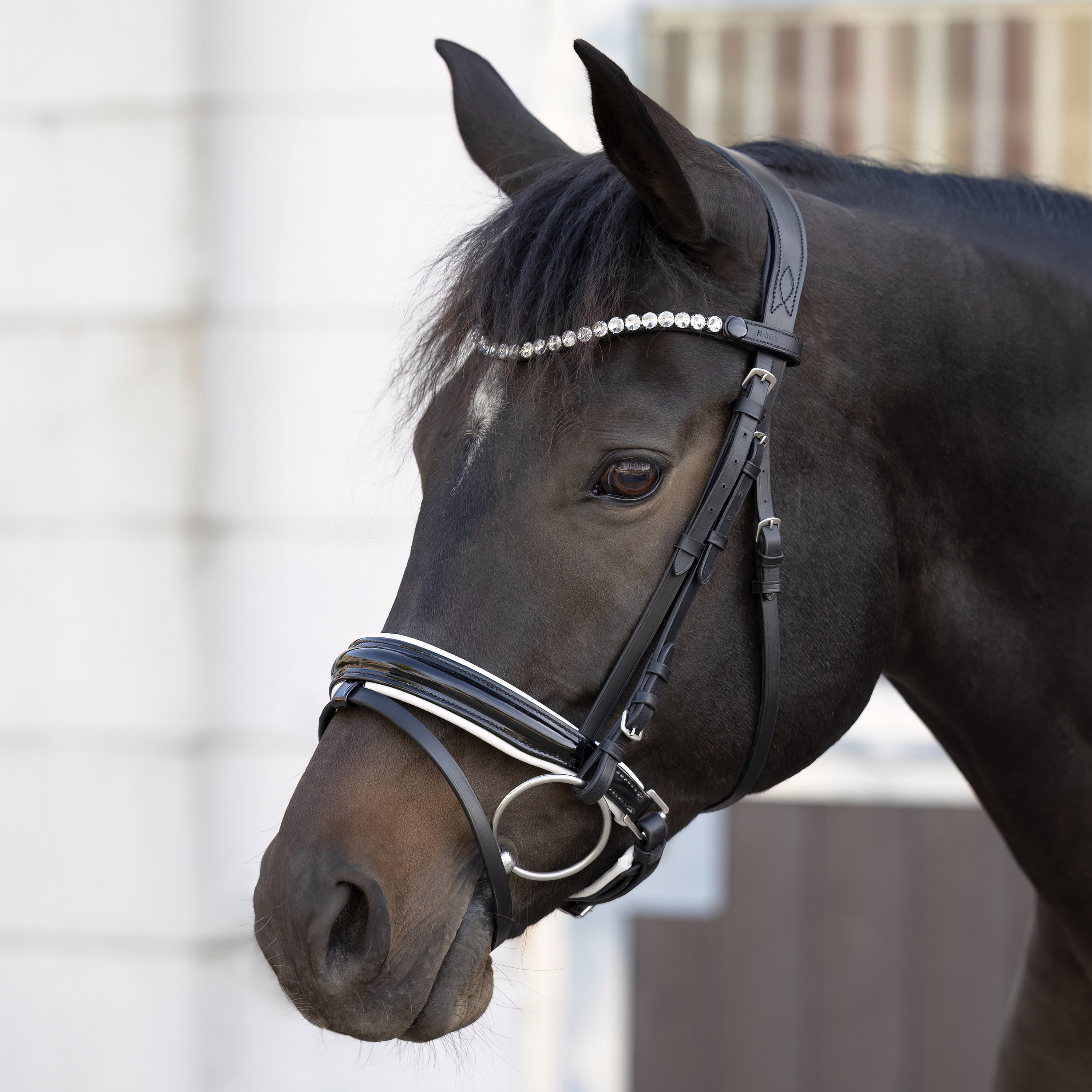 Selection-Weiss-Lack-mit-Schnallen