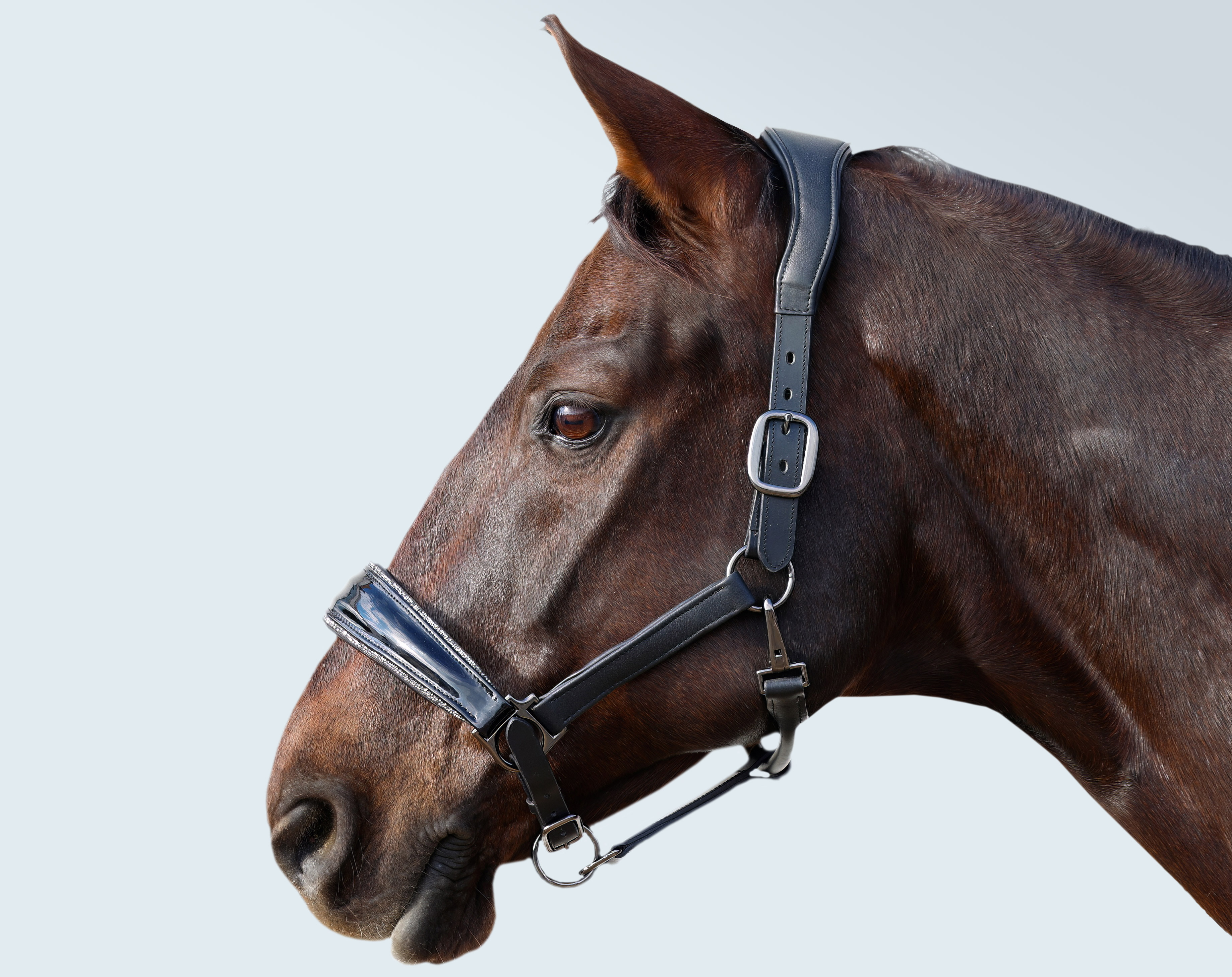 Halfter-Shiny-Glitzer-Weich-Softleder