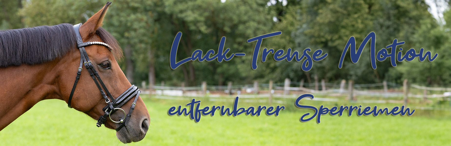 Trense-Motion-Lack-Banner
