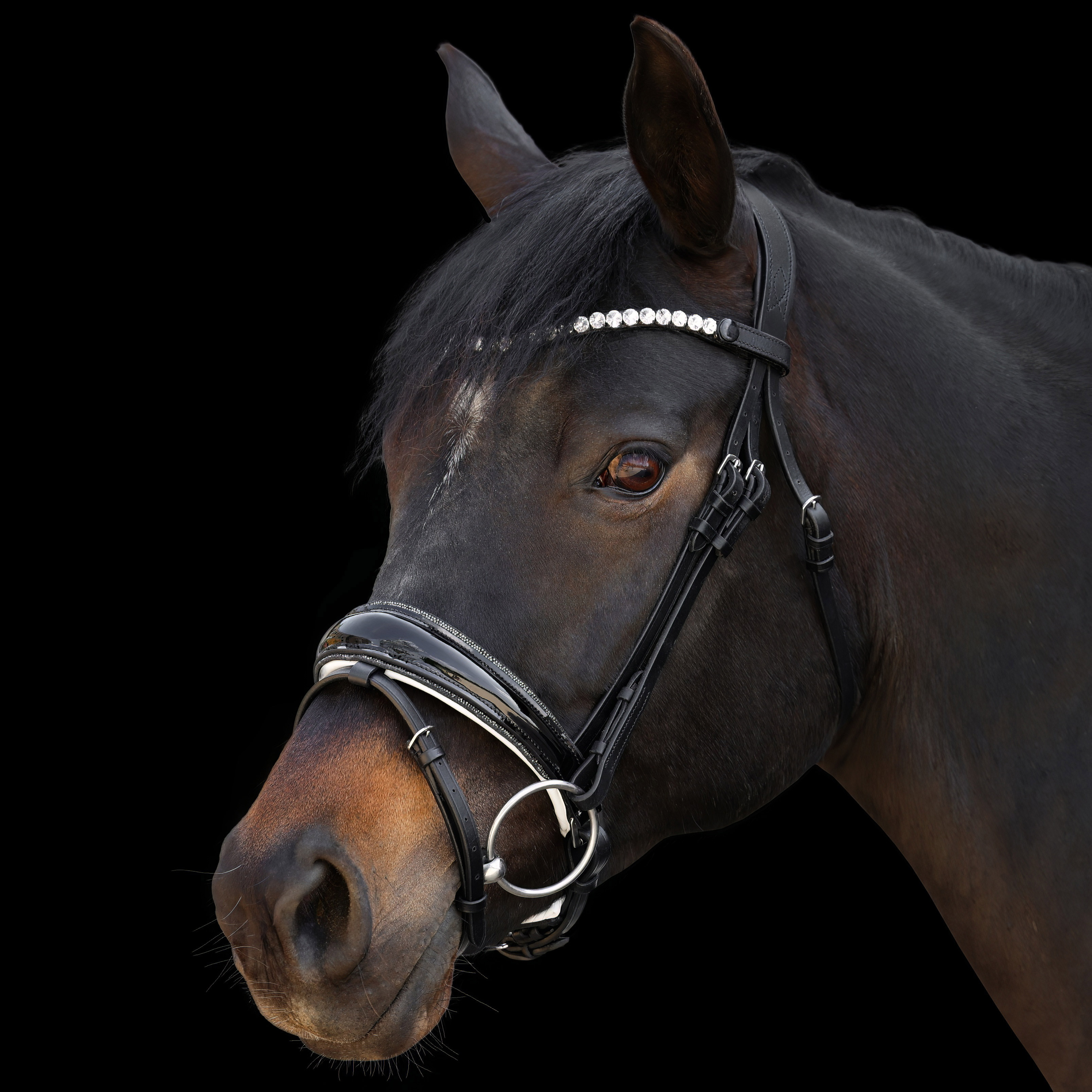 Trense-abnehmbarer-Sperrriemen-Schwarz-Weiss-Shiny-mit-Glitzer-Grau