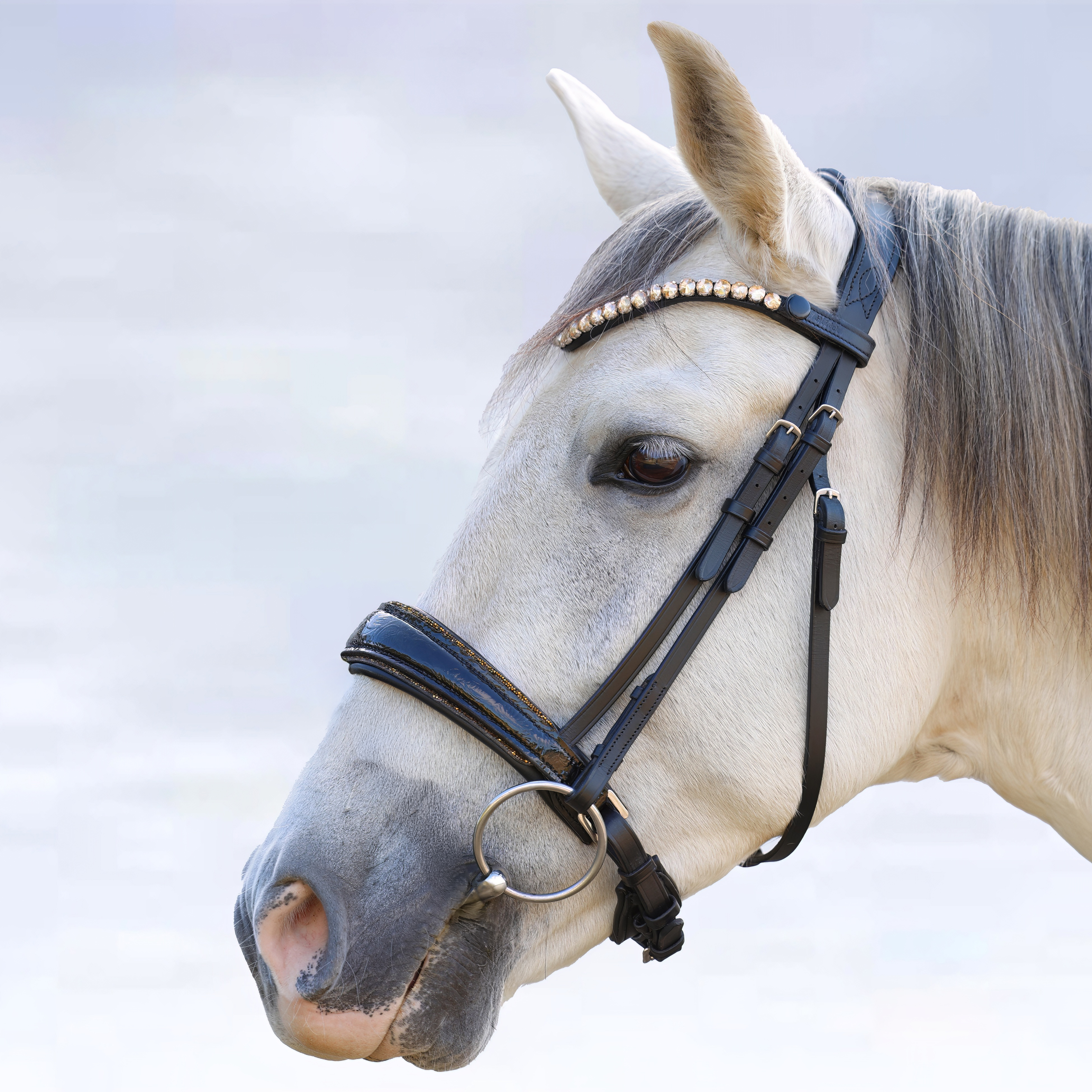 Trense-Paisley-Lack-Muster-Glitzer-Schwarz-Gold-ohne-Sperrriemen