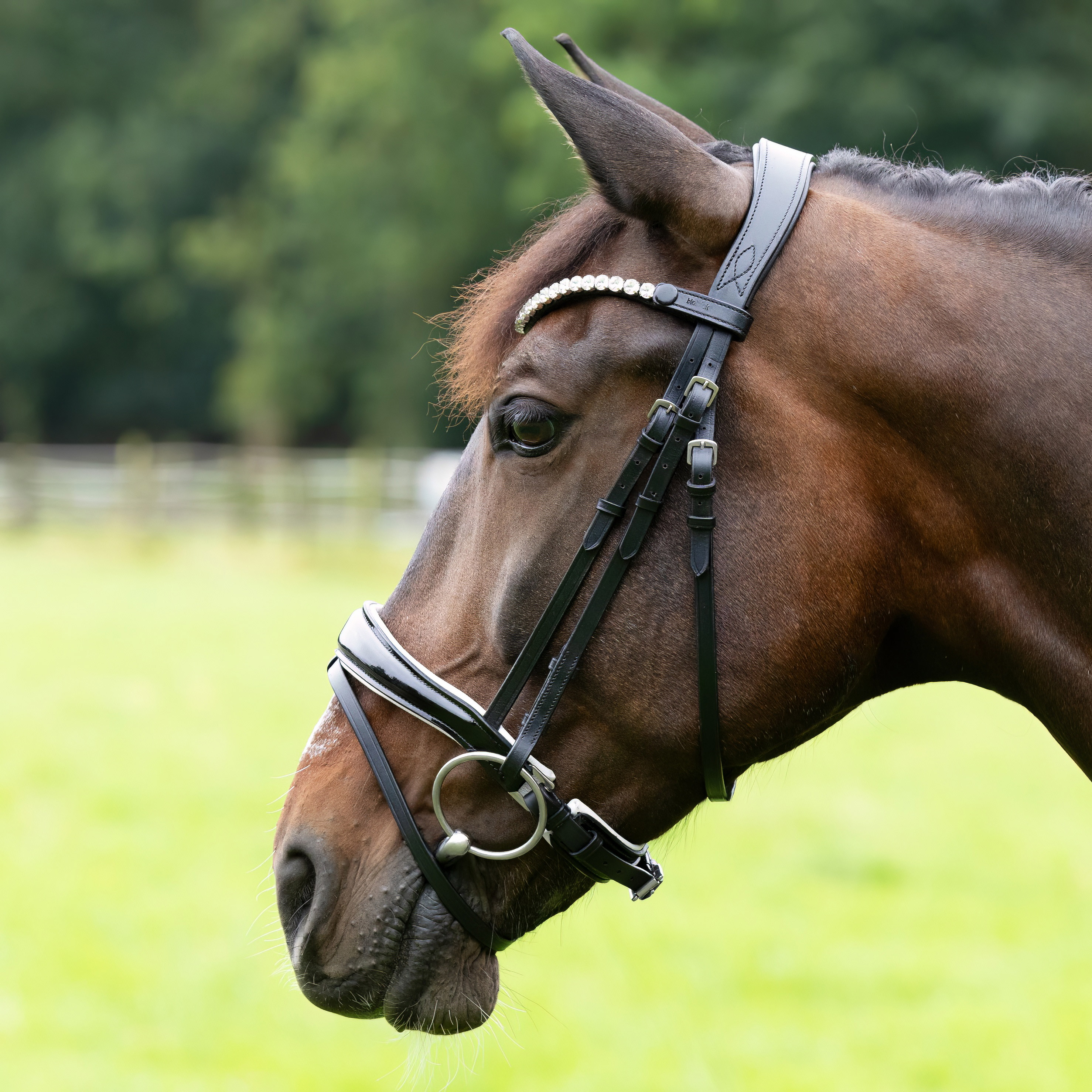 Trense-Competition-Schwarz-Weiss-Lack-Zaumhaken-Warmblut-Vollblut