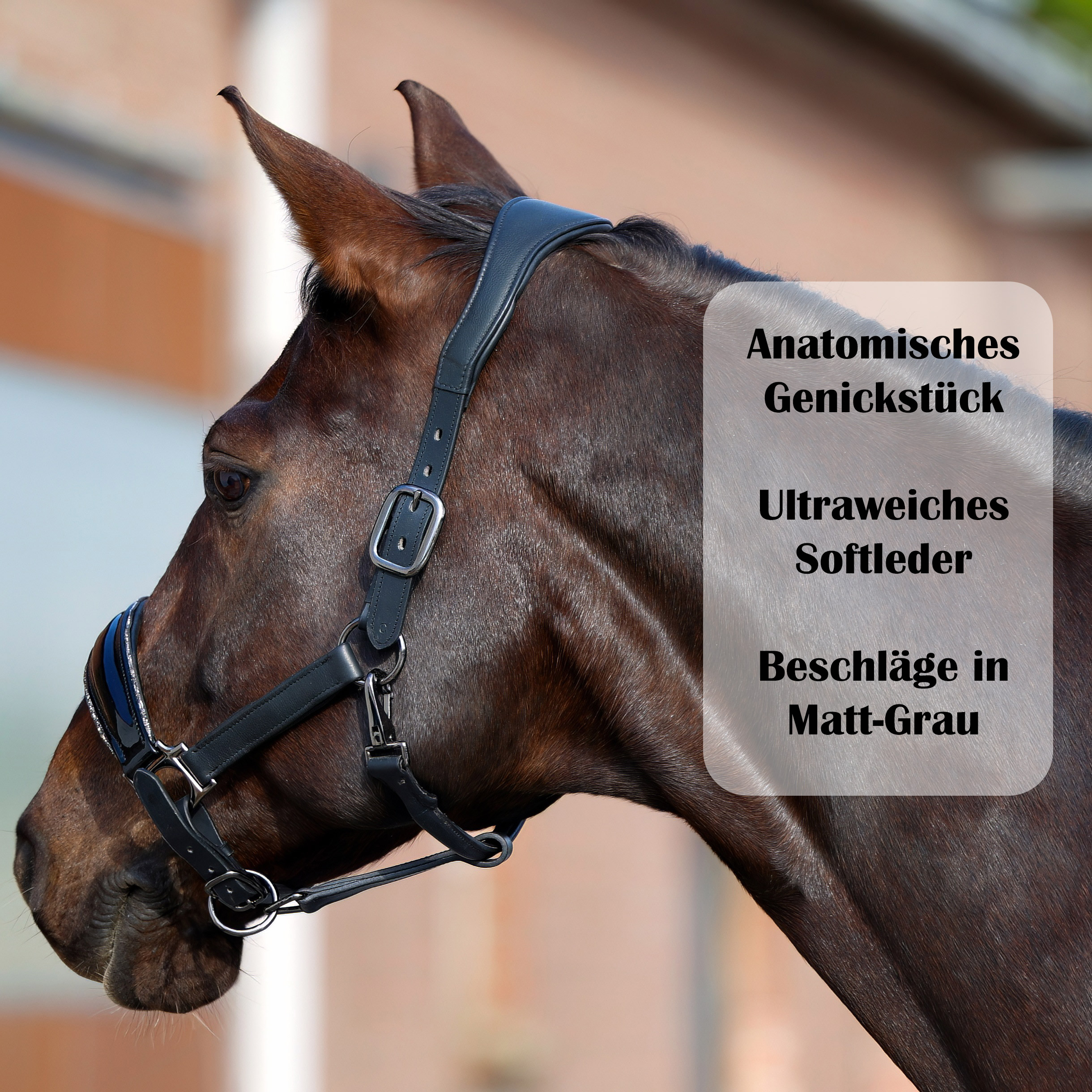 Halfter-Shiny-Glitzer-Weich-Softleder-Schwarz-Grau