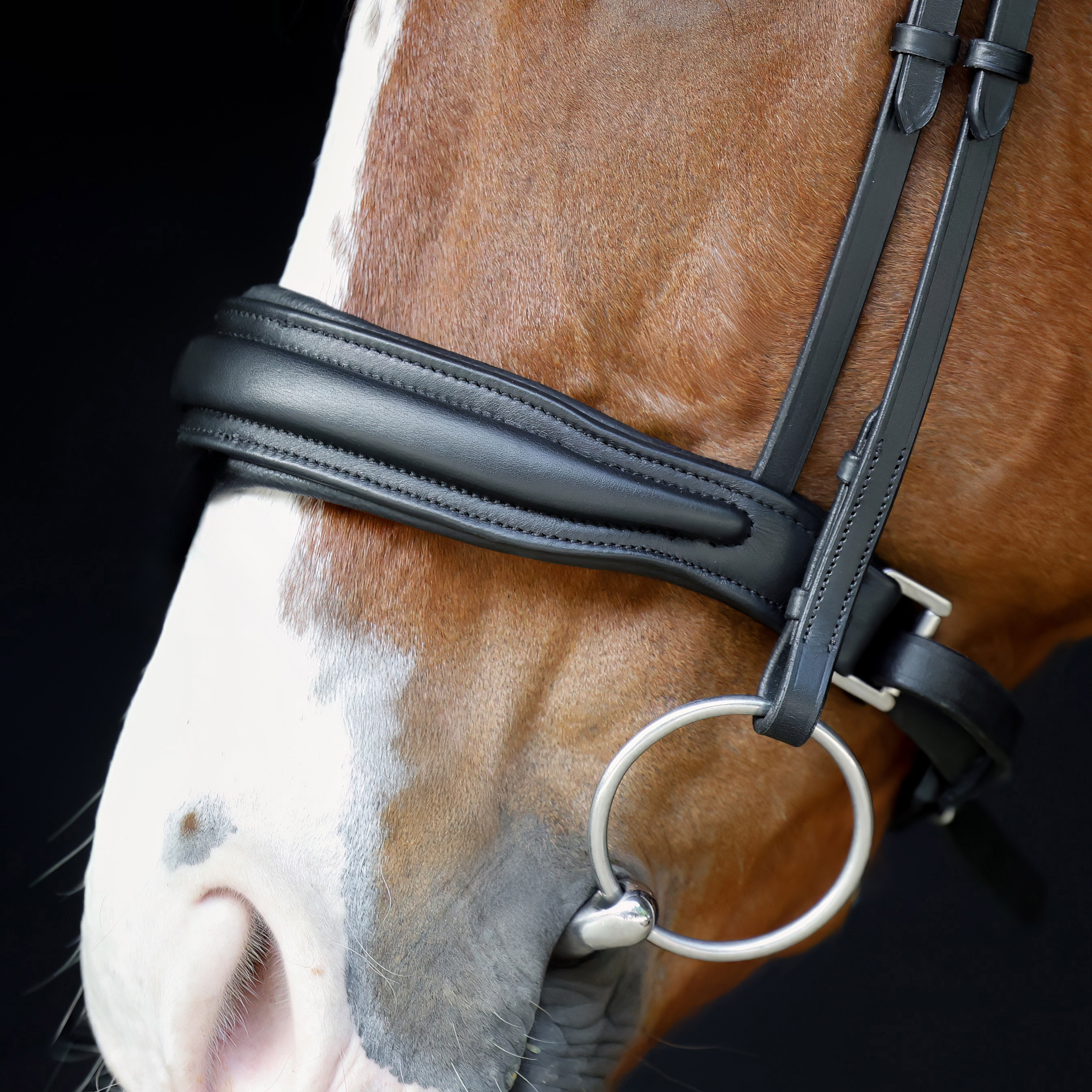 Reithalfter-ohne-Sperrriemen-Custom-Breit-Schwarz