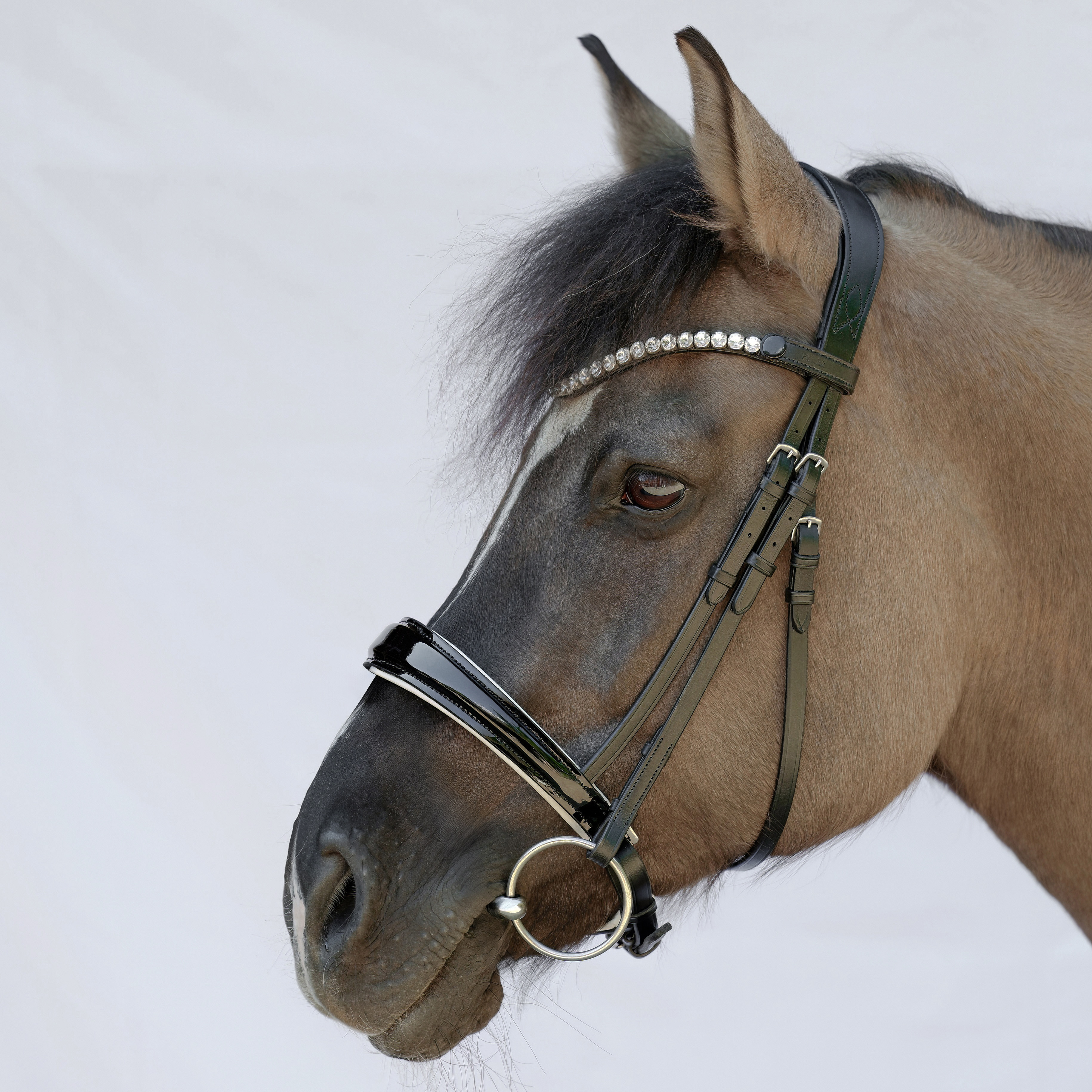 Trense-ohne-Sperrriemen-Performance-Lack-Schwarz-Weiss