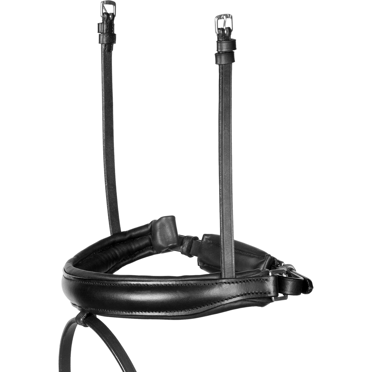 RH-Selection-Schwarz-3