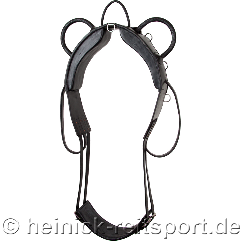 Voltigiergurt-Schwarz-1