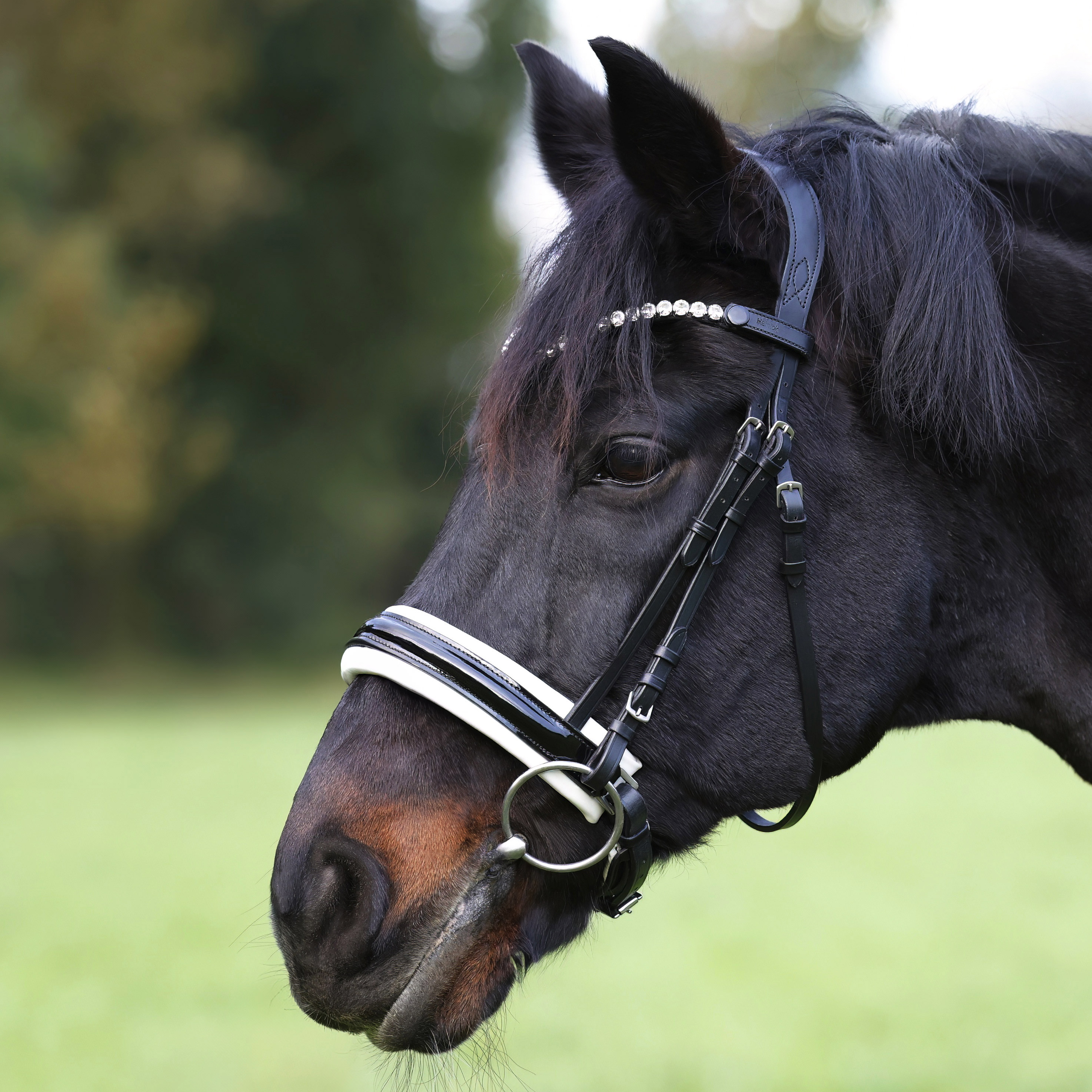 Trense-Motion-Weiss-Lack-Schnallen-ohne-Sperrriemen