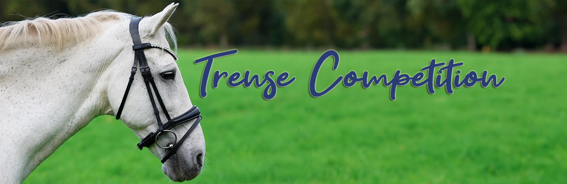 Trense-Competiion-Banner