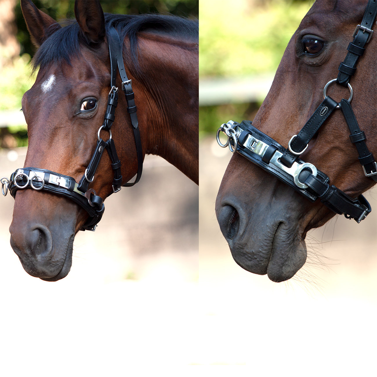 Kappzaum-Leder-anatomisch-mit-Naseneisen-Edelstahl-Wiener-Warmblut-Vollblut-Schwarz