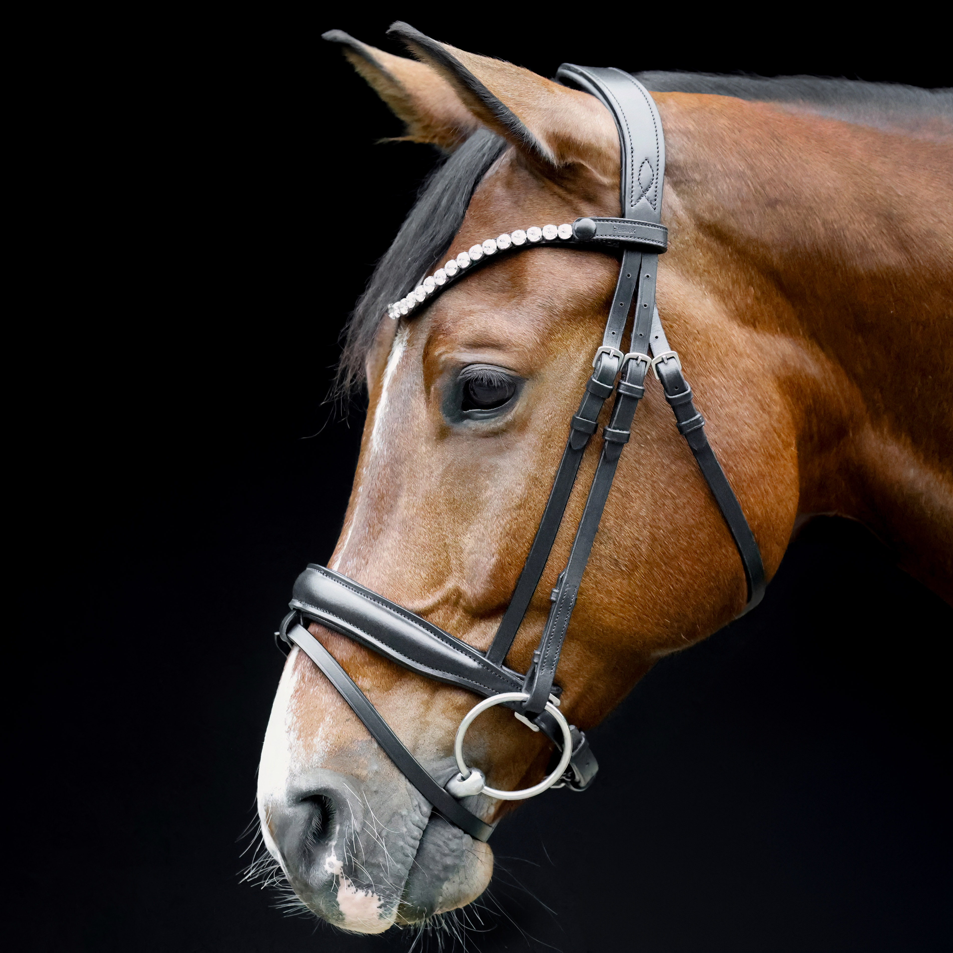 Trense-Selection-anatomisch-Reithalfter-Schwarz-entfernbarer-Sperrriemen