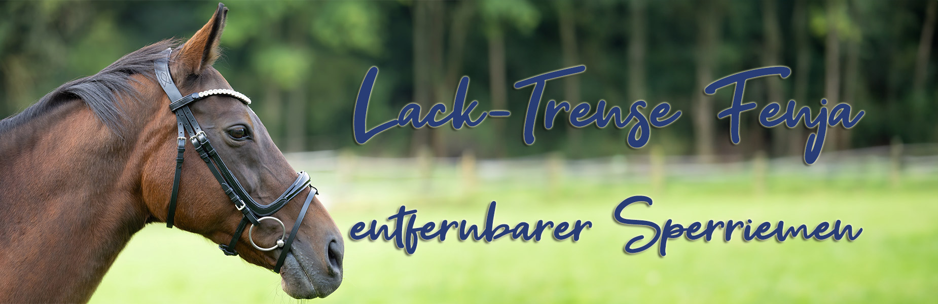 Trense-Fenja-Lack-Banner