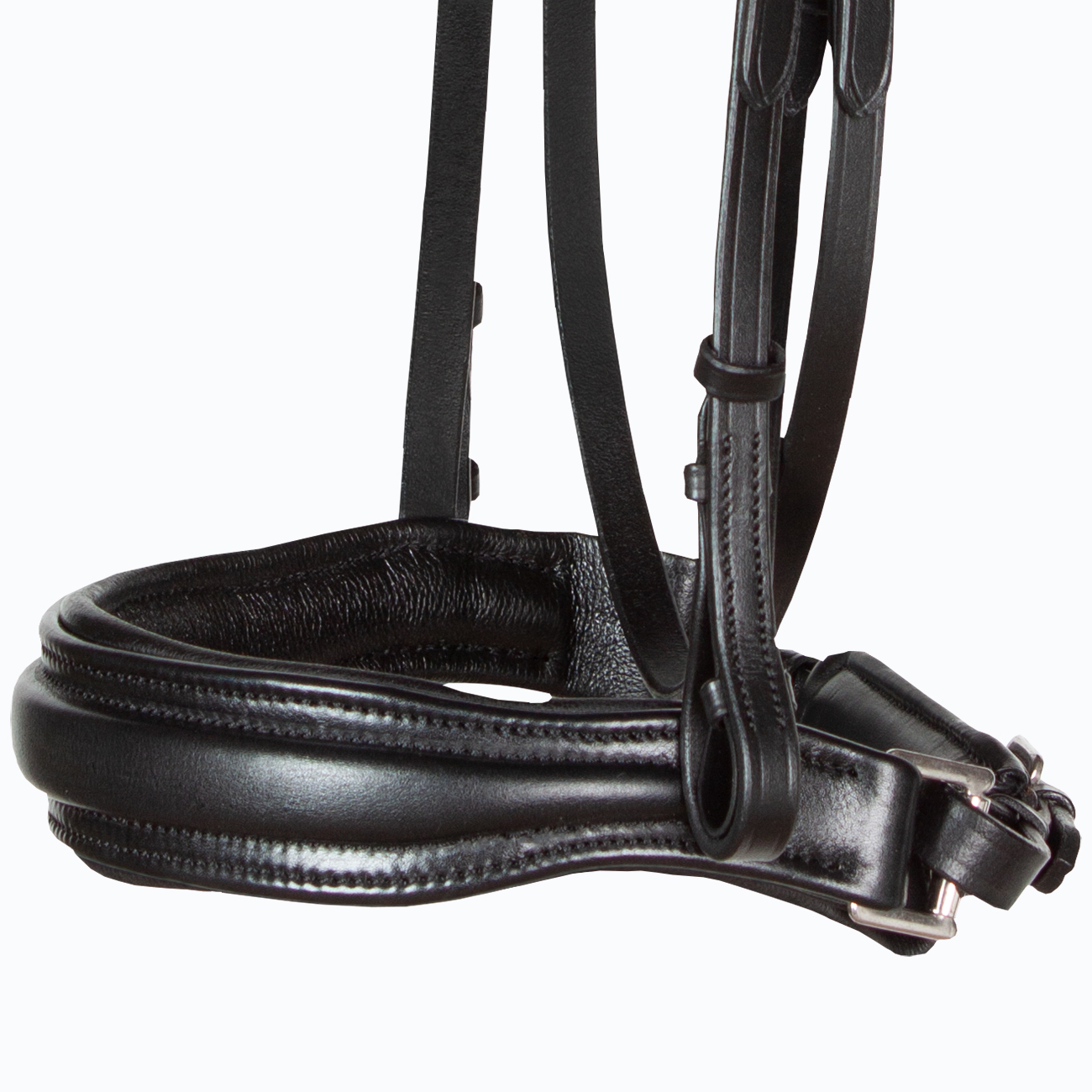 Trense-ohne-Sperrriemen-Custom-anatomisch-Schnallen-schwarz-Dust-Heart-Warmblut-Vollblut