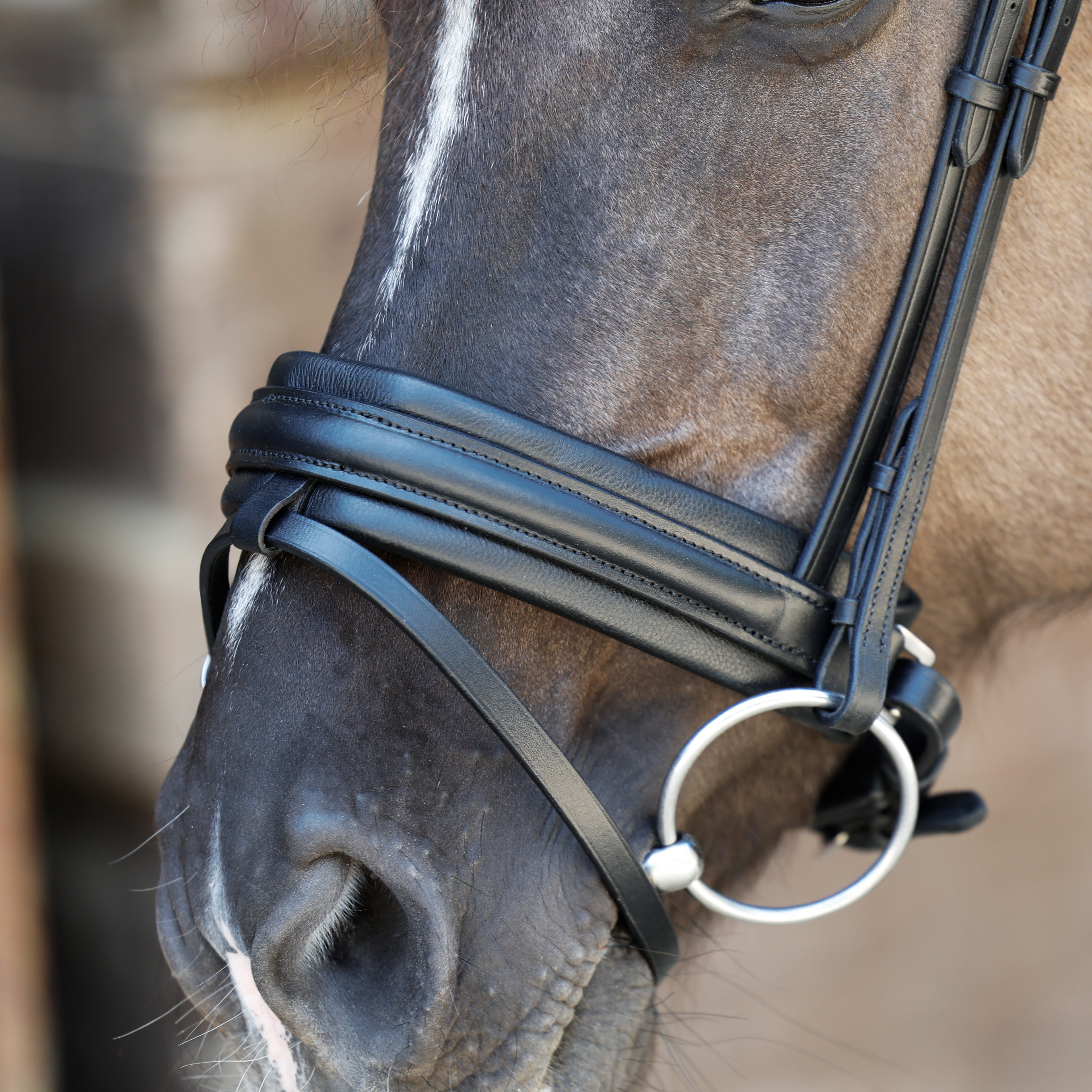 Reithalfter-Motion-extra-breit-Schwarz-entfernbarer-Sperrriemen