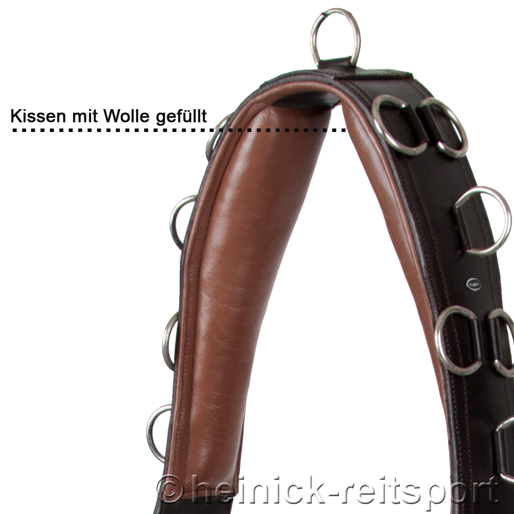 Anatomischer-Lederlongiergurt-Braun-Warmblut-Vollblut