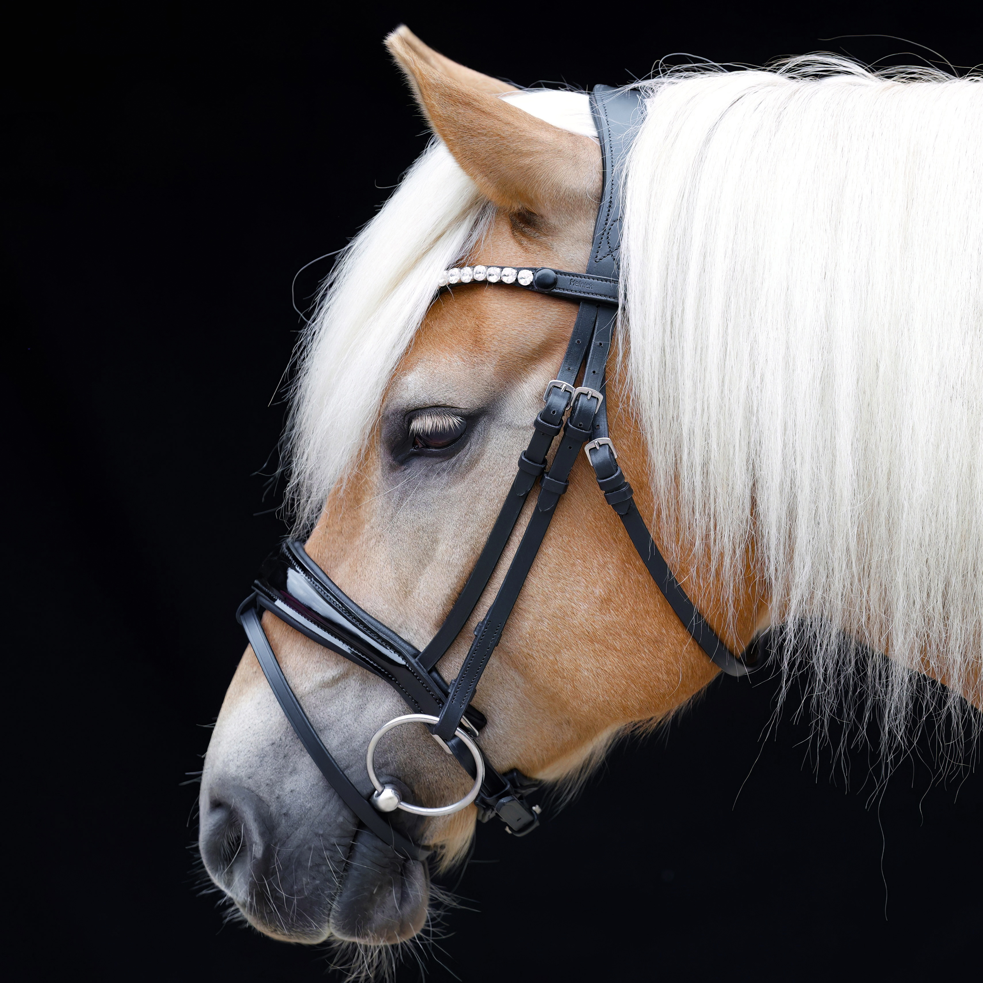Trense-Competition-abnehmbarer-Sperrriemen-Schwarz-Lack-Zaumhaken