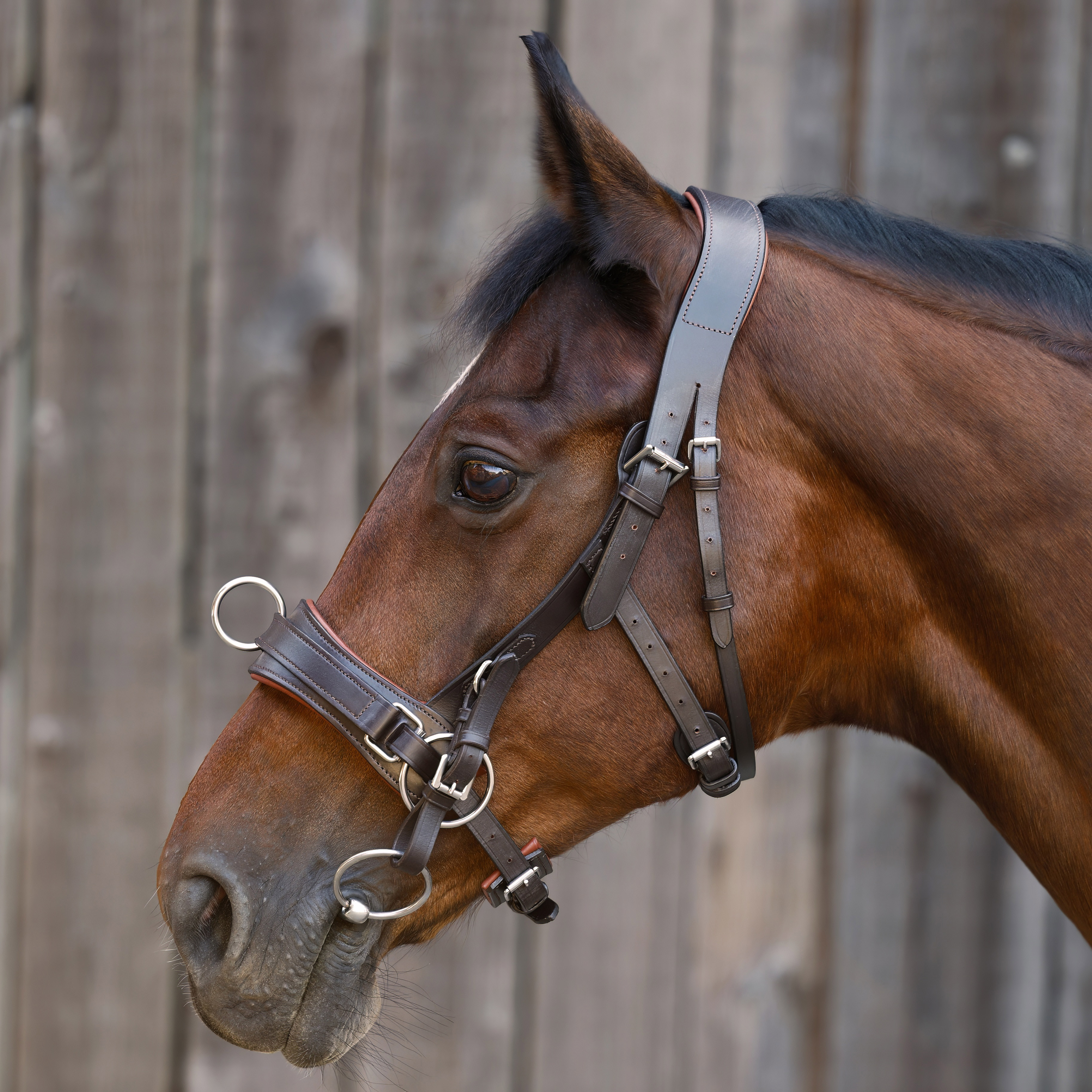 Kappzaum-ProLine-anatomisch-Braun-mit-Gebissriemen
