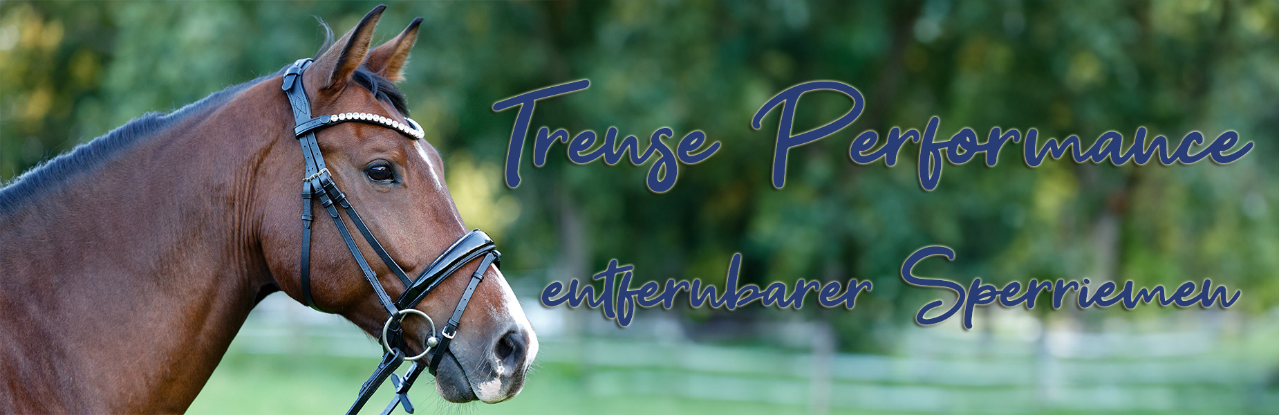 Trense-Performance-Lack-Schwarz-Banner