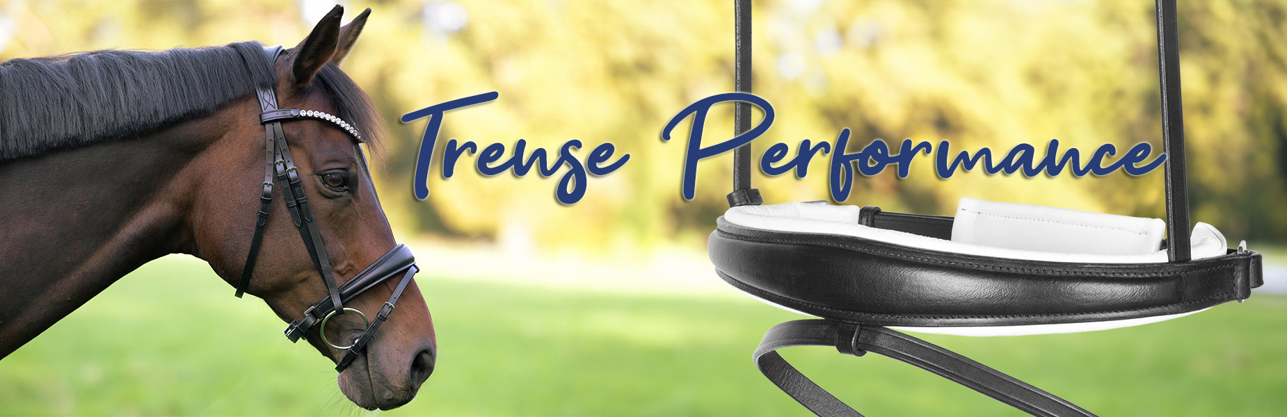 Trense-Performance-Banner