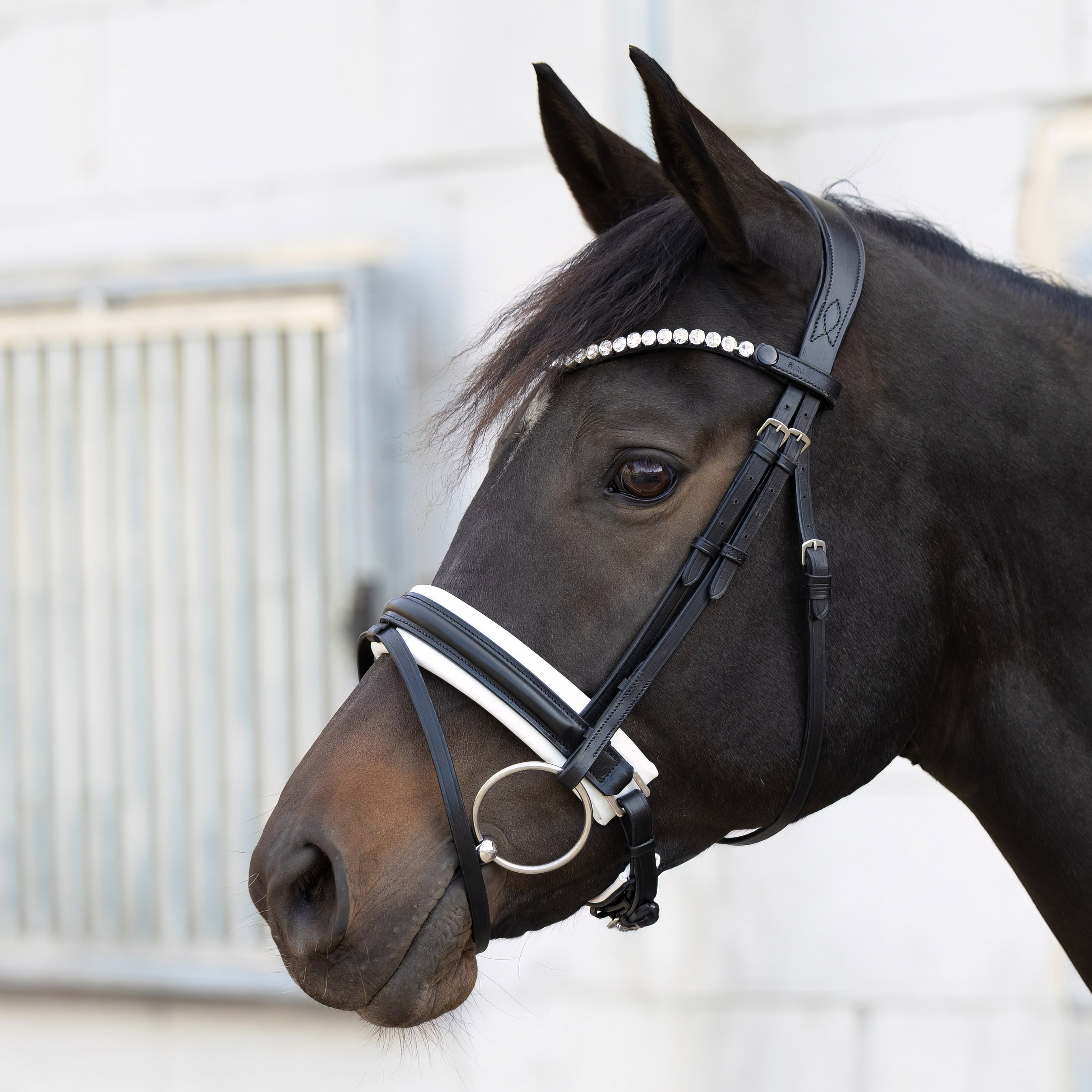 Trense-Motion-Schwarz-Weiss-Zaumhaken