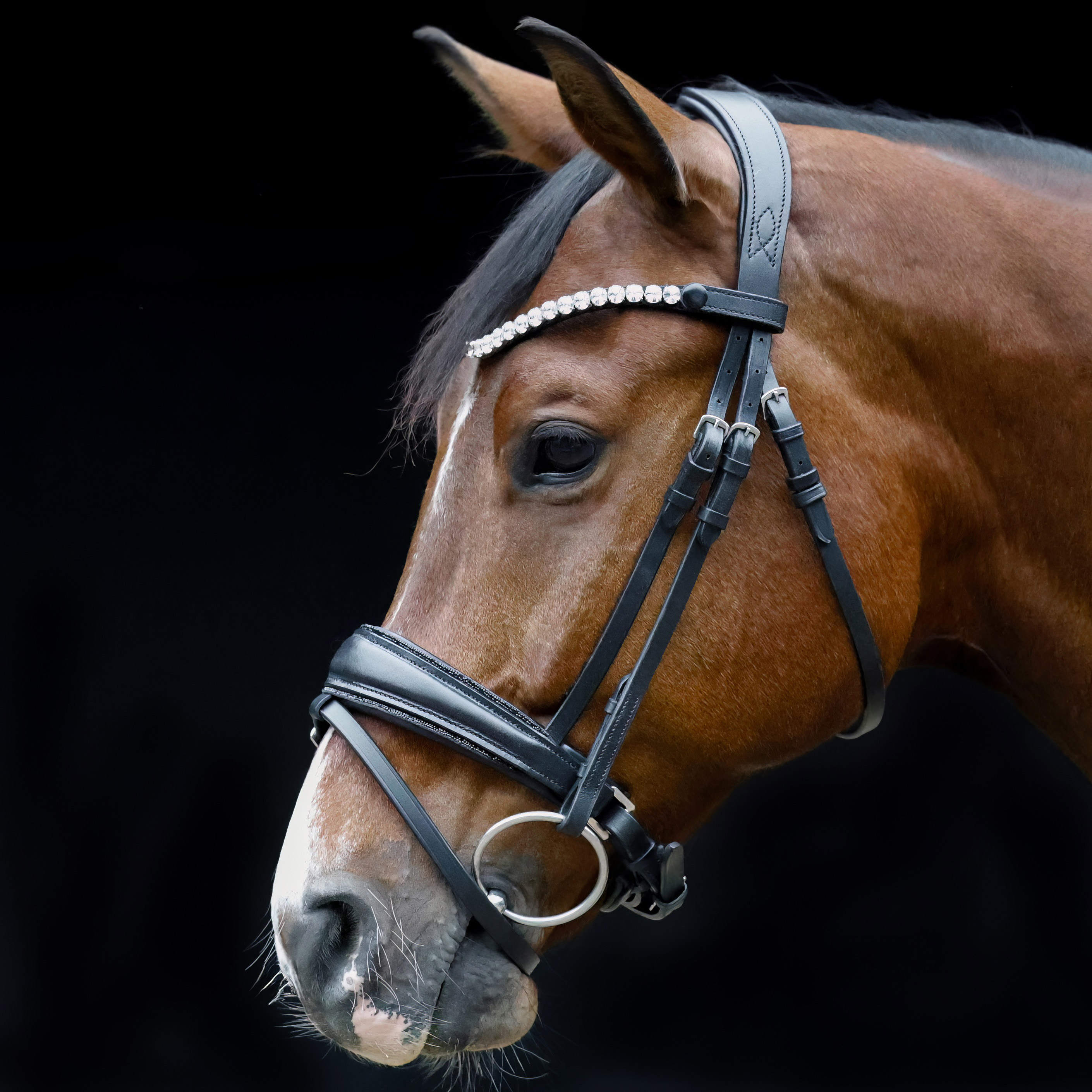 Trense-Shiny-Glitzer-Reithalfter-Schwarz-entfernbarer-Sperrriemen