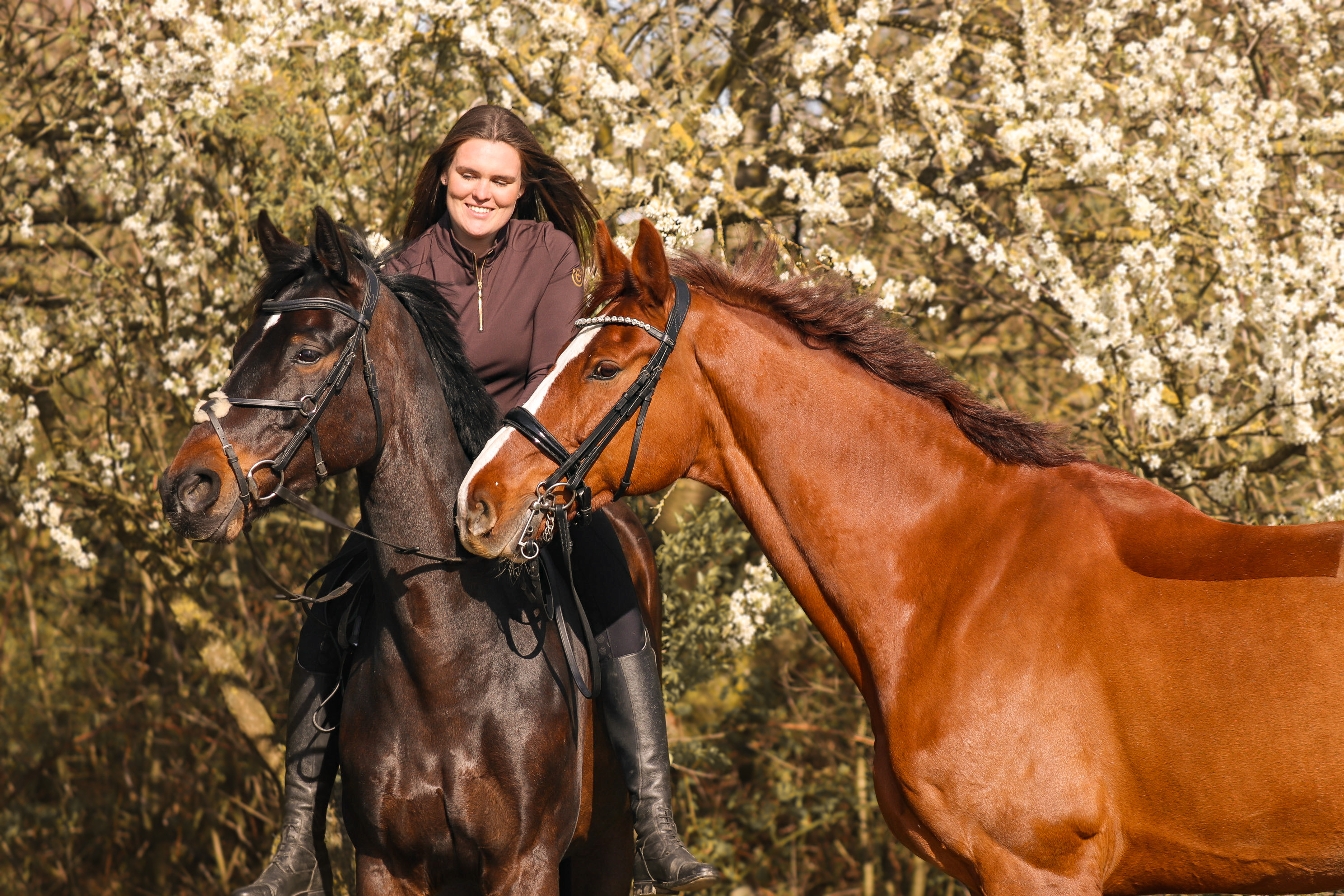 Kandare-und-Mexikanische-Trense-Selina-Full-Victory