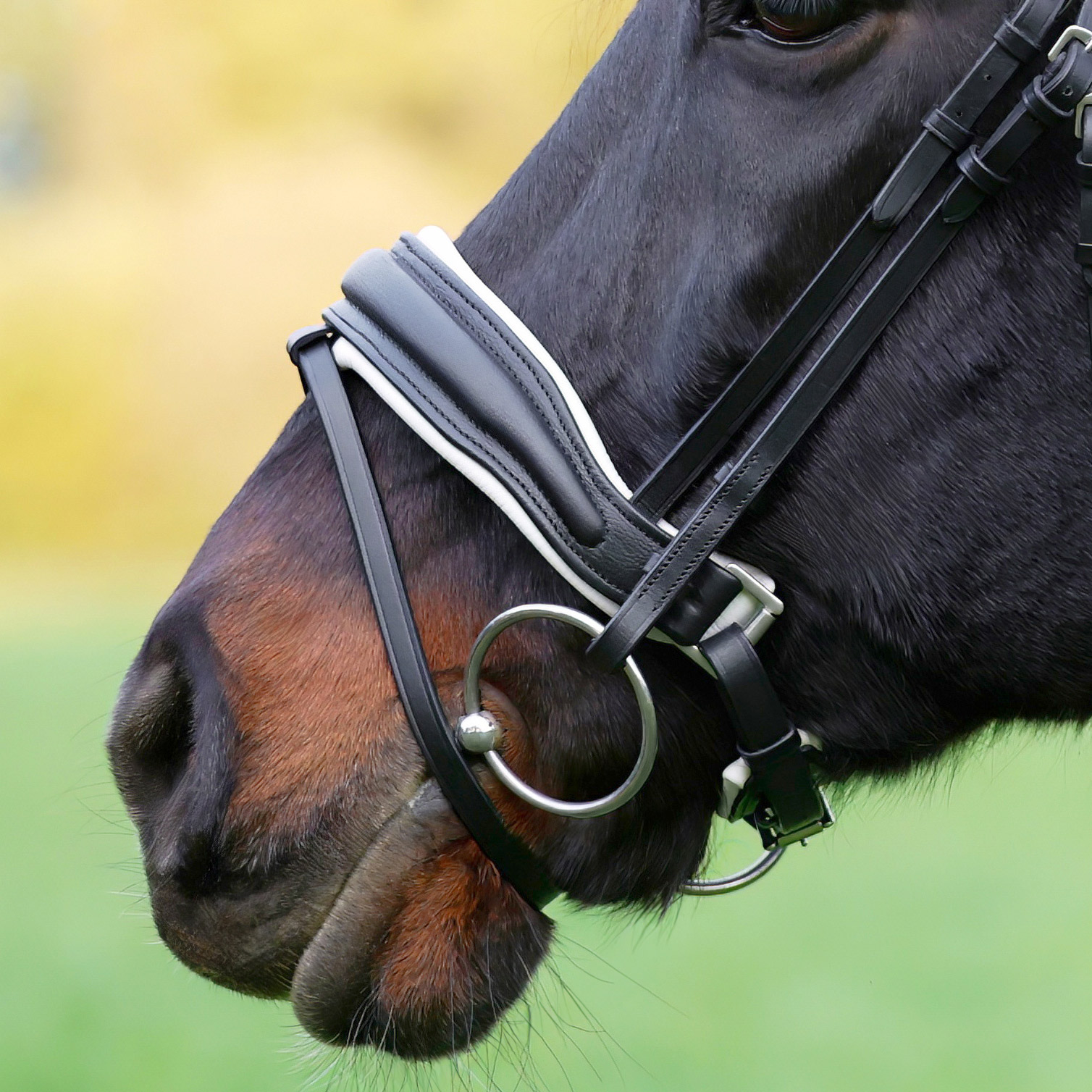 Reithalfter-Custom-Weiss-Zaumhaken-mit-Sperrriemen