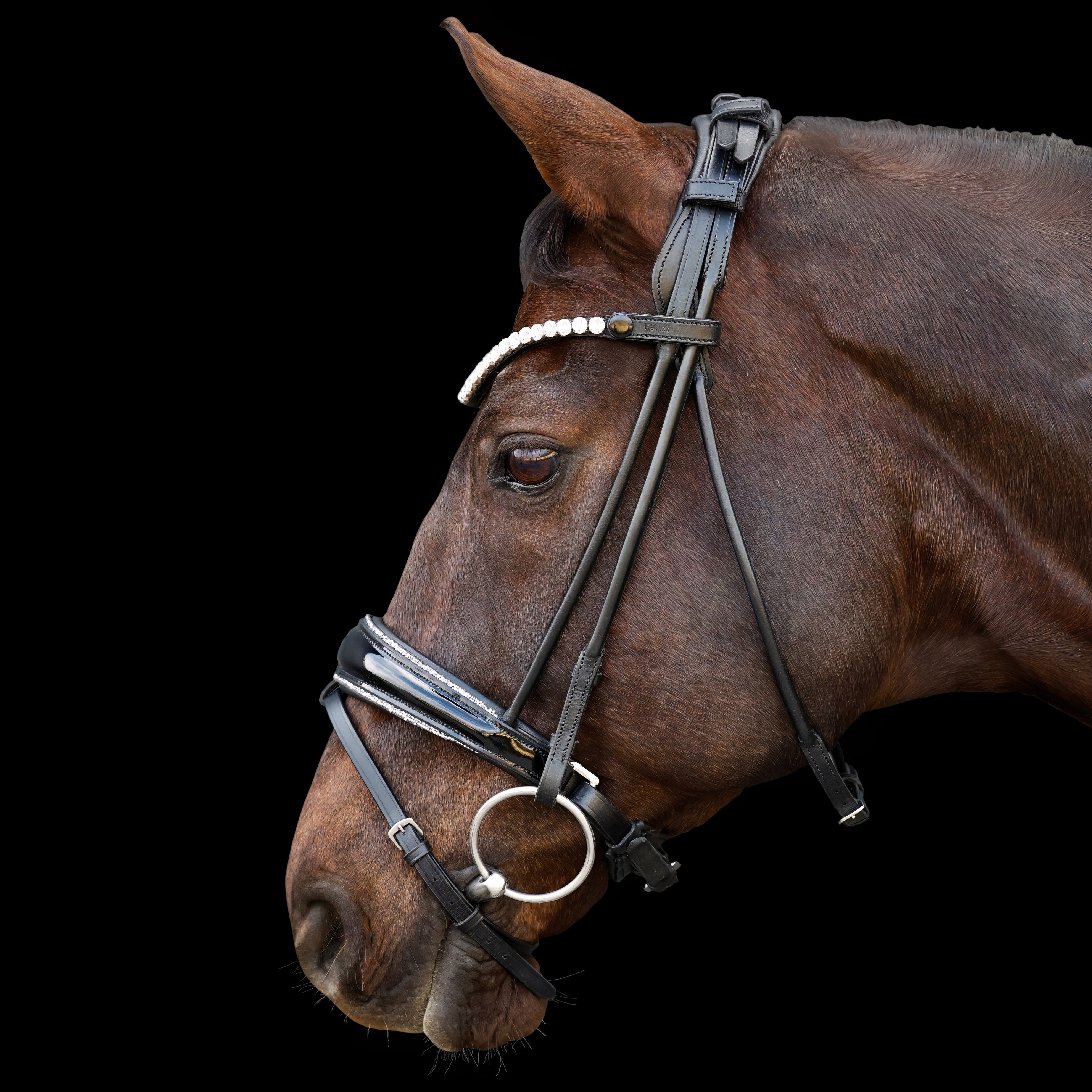 Trense-ProLine-Muenchen-Rund-Glitzer-Silber-entfernbarer-Sperrriemen-Schwarz