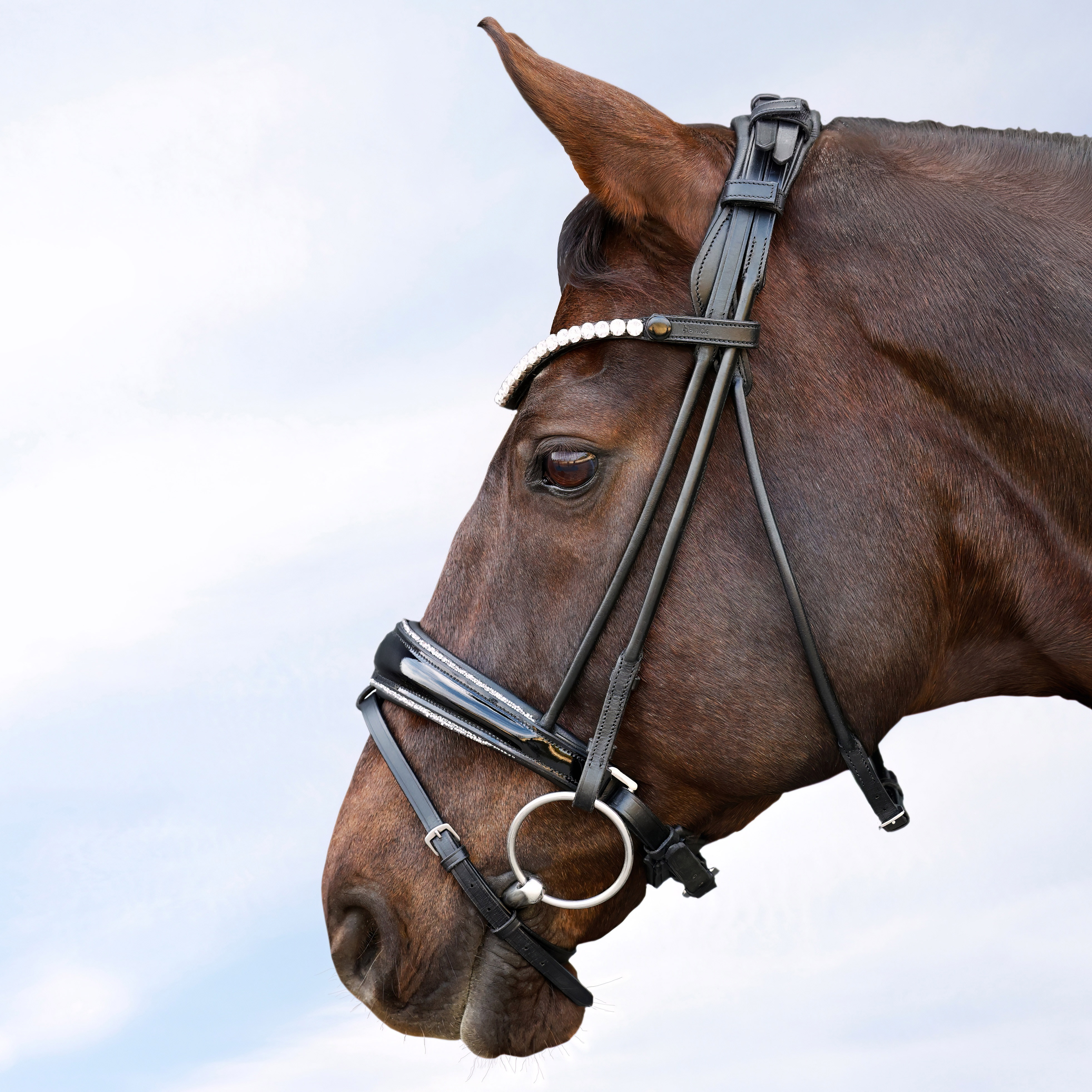 Trense-ProLine-Muenchen-Rund-Glitzer-Silber-entfernbarer-Sperrriemen