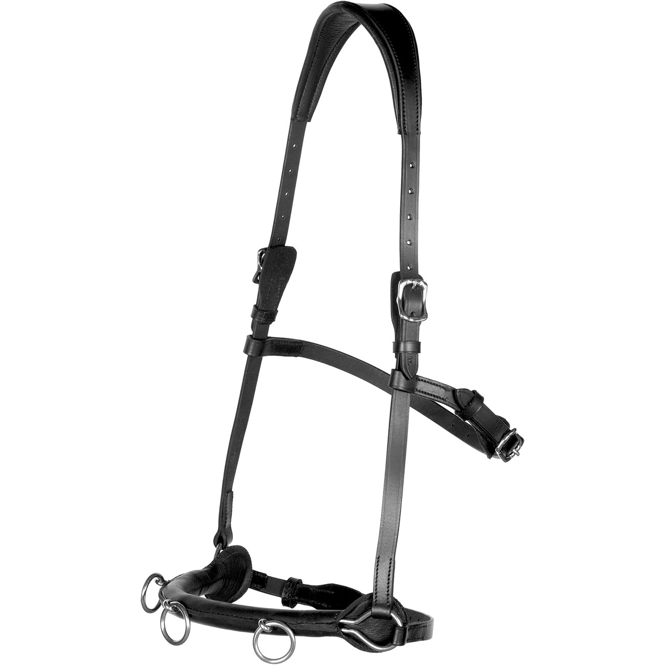 Kappzaum-Cavesson-Cavecon-verstellbarer.Ganaschenriemen-Schwarz-Warmblut