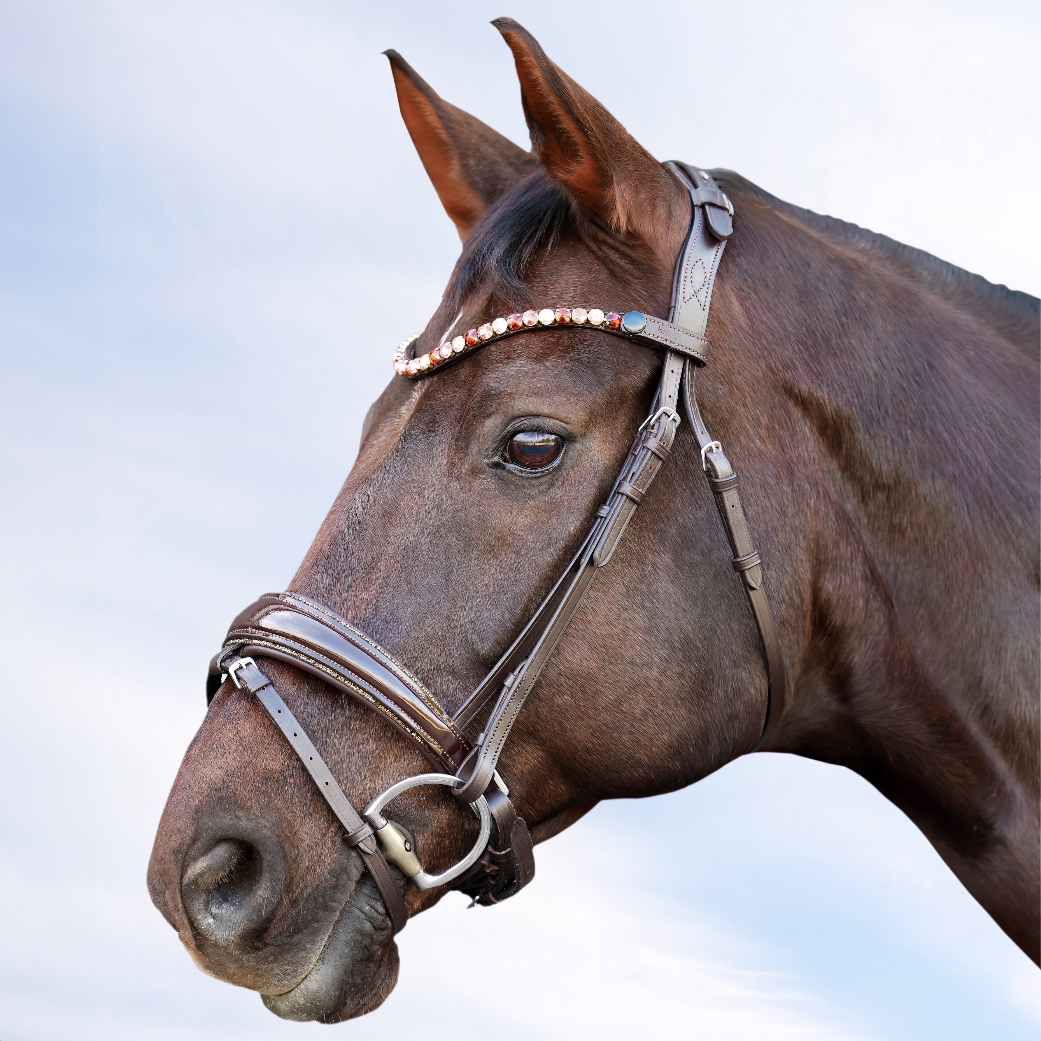 Trense-Shiny-Glitzer-Braun-Gold