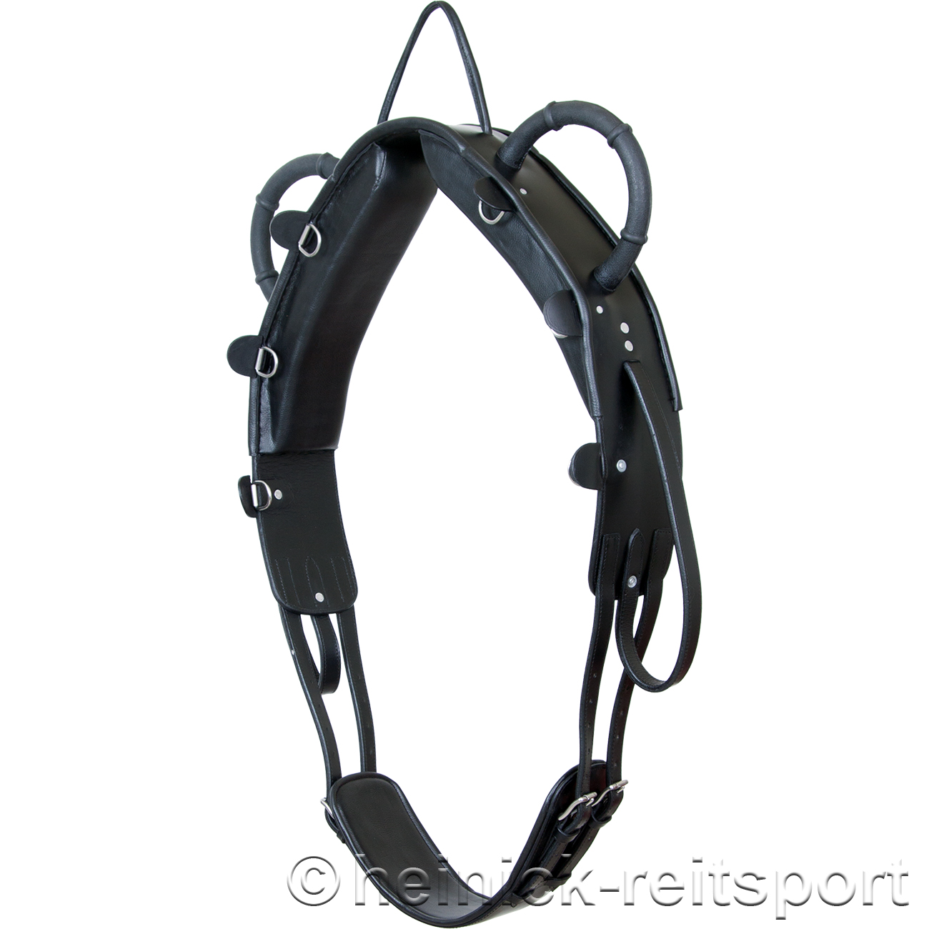 Voltigiergurt-ProLine-Schwarz