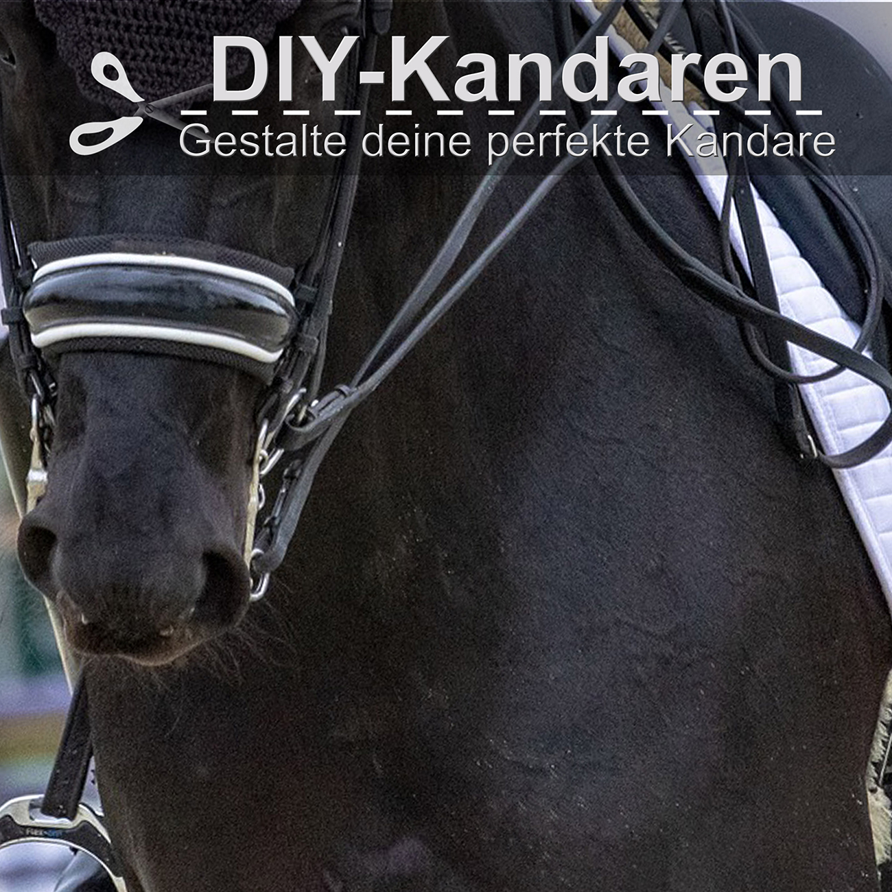 Kandare-selbst-gestallten