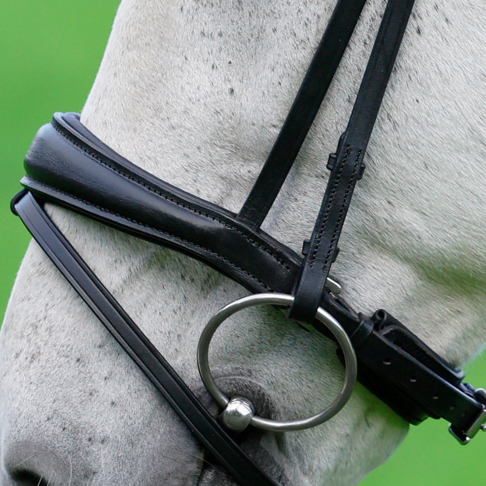 Backenstuecke-Competition-Schwarz-Zaumhaken-Warmblut-Vollblut