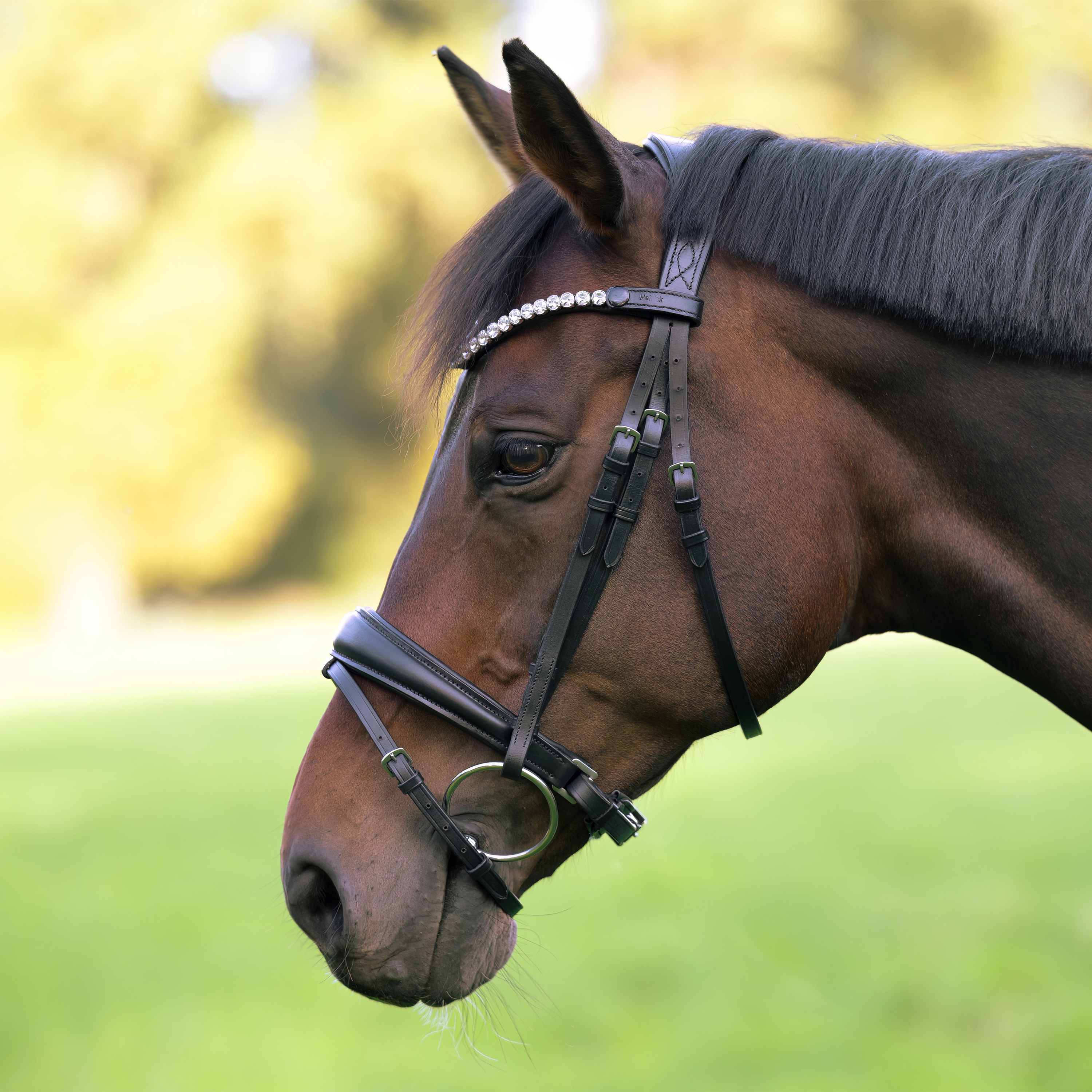 Trense-Performance-Schwarz-Zaumhaken-Glow-Silver