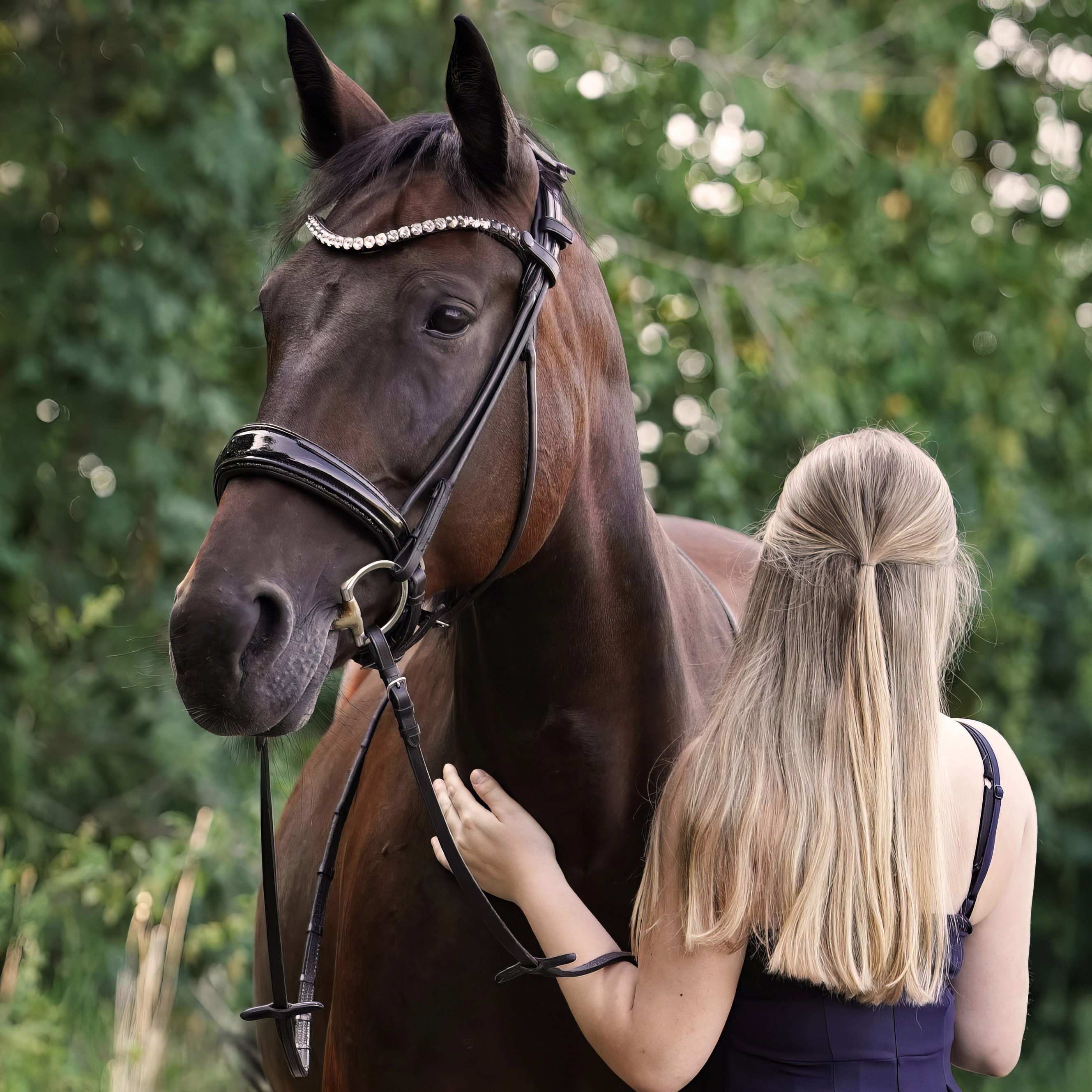 ProLine-Trense-Glitzerbesatz-schwarz-Justine-mit-Akoya-1