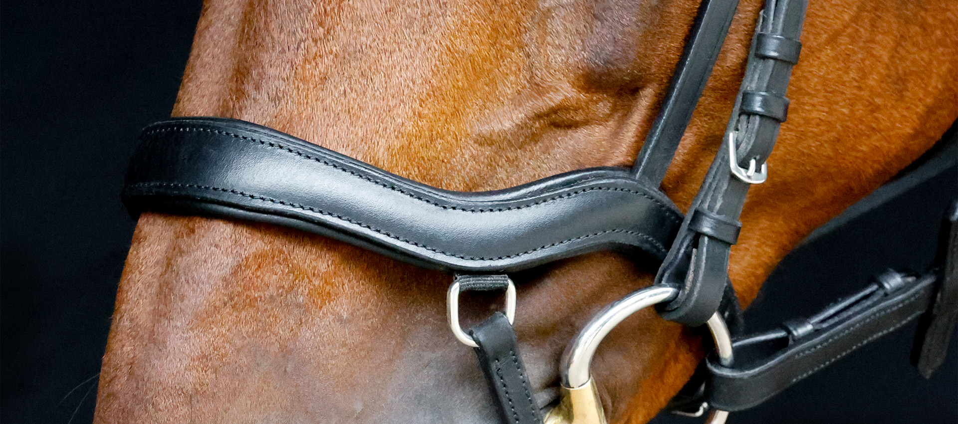 Reithalfter-Anatomic-mit-D-Ring-Anatomisch-Schwarz