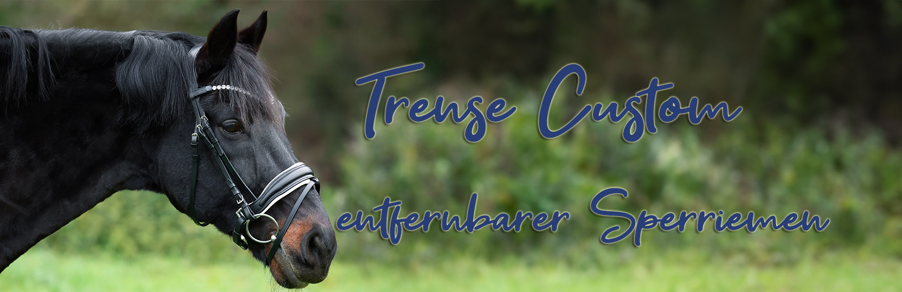 Trense-Custom-Weiss-Banner