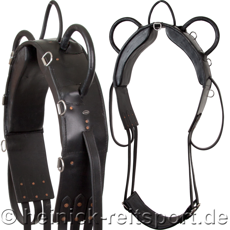 Voltigiergurt-Schwarz-5