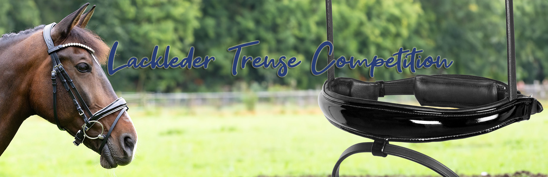 Trense-Competiton-Lack-Banner