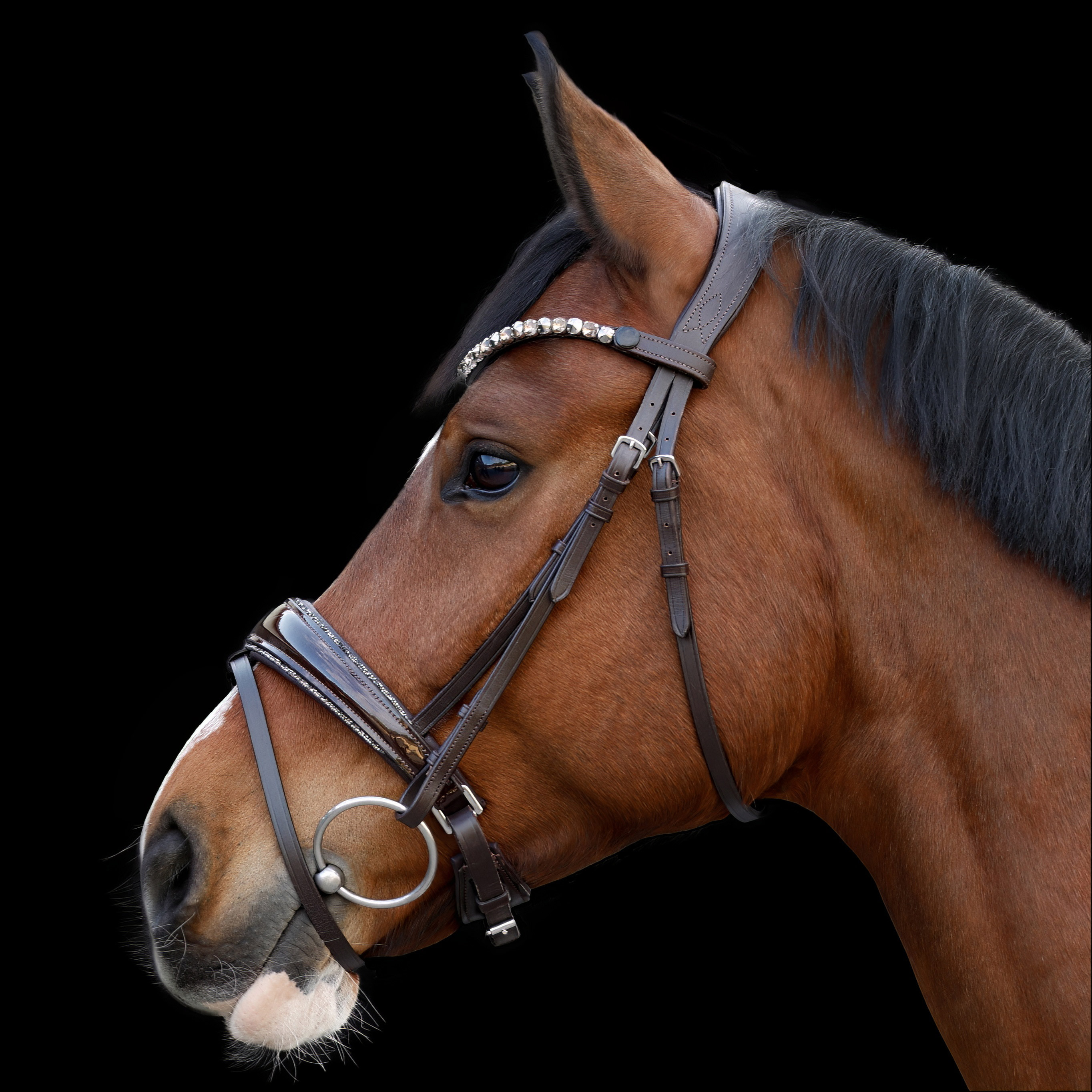 Trense-Braun-Shiny-Glitzerbesatz-Grau