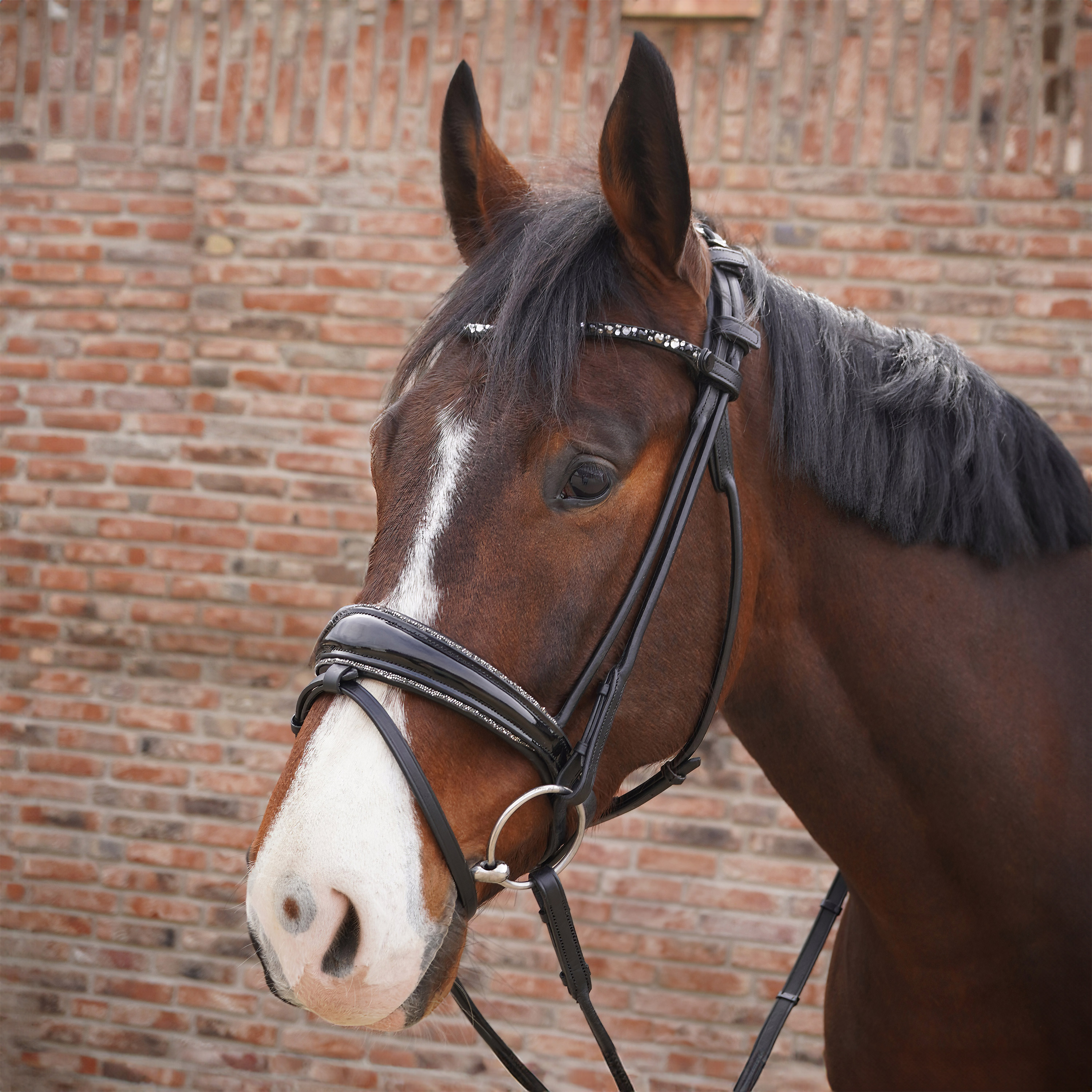 Trense-ProLine-Rund-Glitzer-Nasenriemen-Zaumhaken-entfernbarer-Sperrriemen