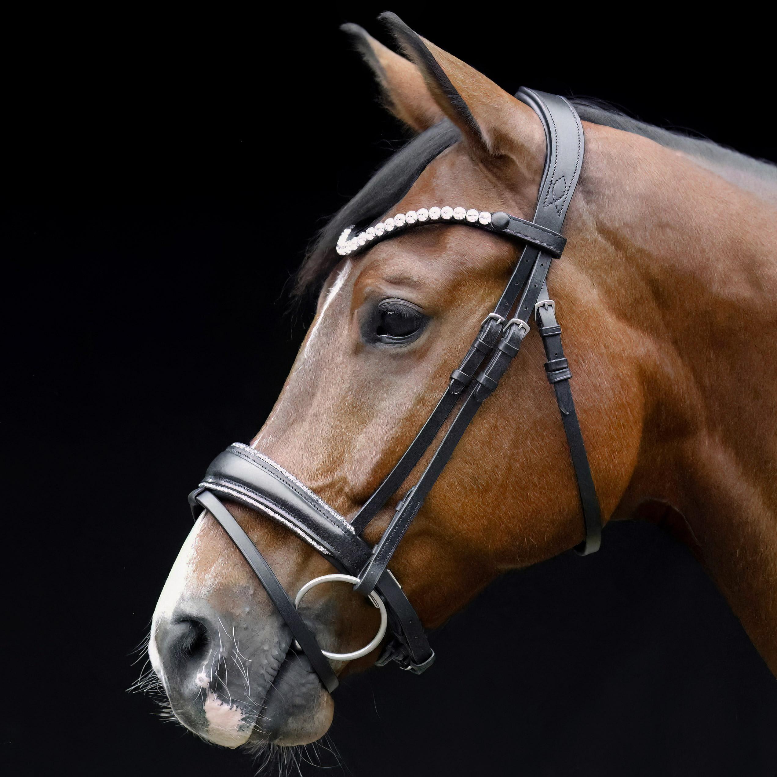 Trense-Shiny-Glitzer-Reithalfter-Schwarz-Silber-entfernbarer-Sperrriemen