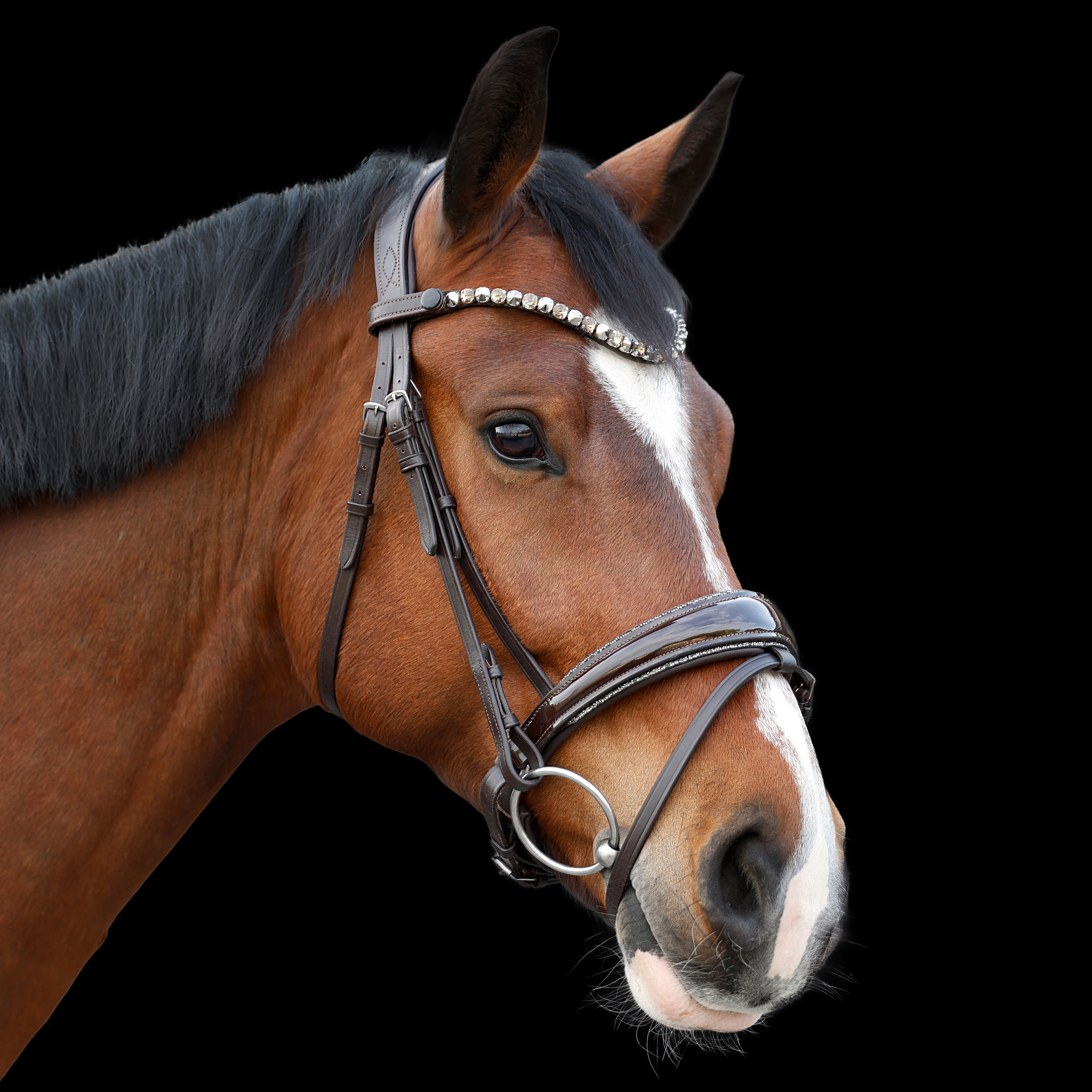 Trense-Braun-Shiny-abnehmbarer-Sperrriemen-Glitzerbesatz-Grau