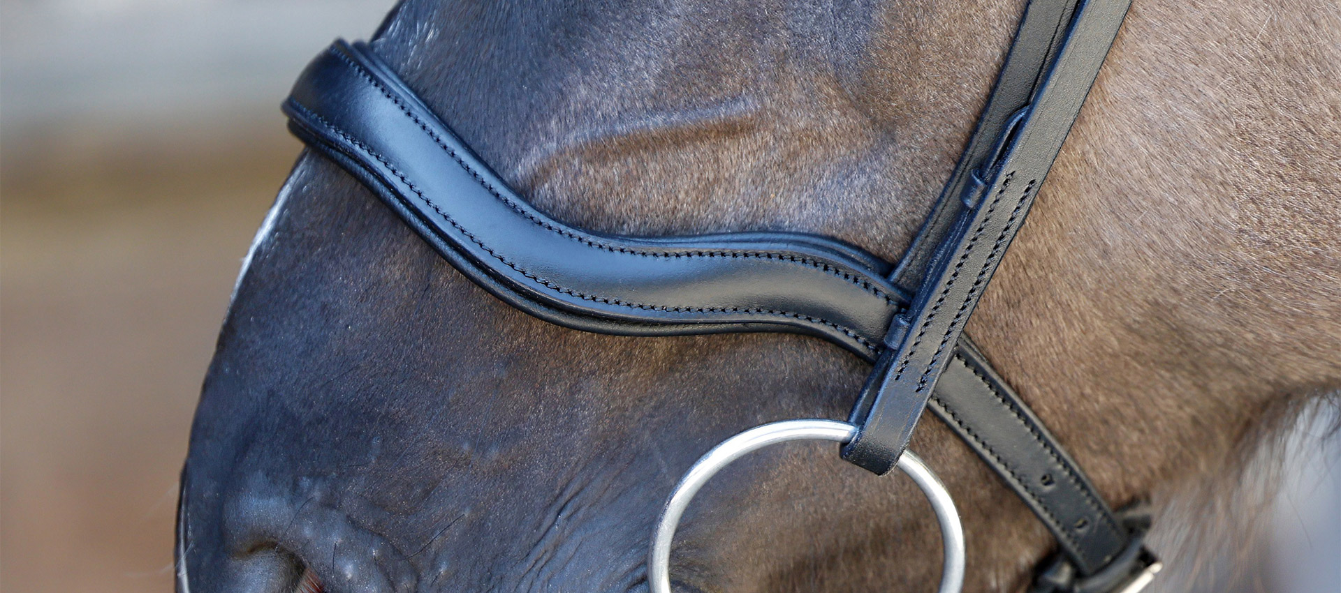 Reithalfter-ohne-Sperriemen-Anatomic-Schwarz