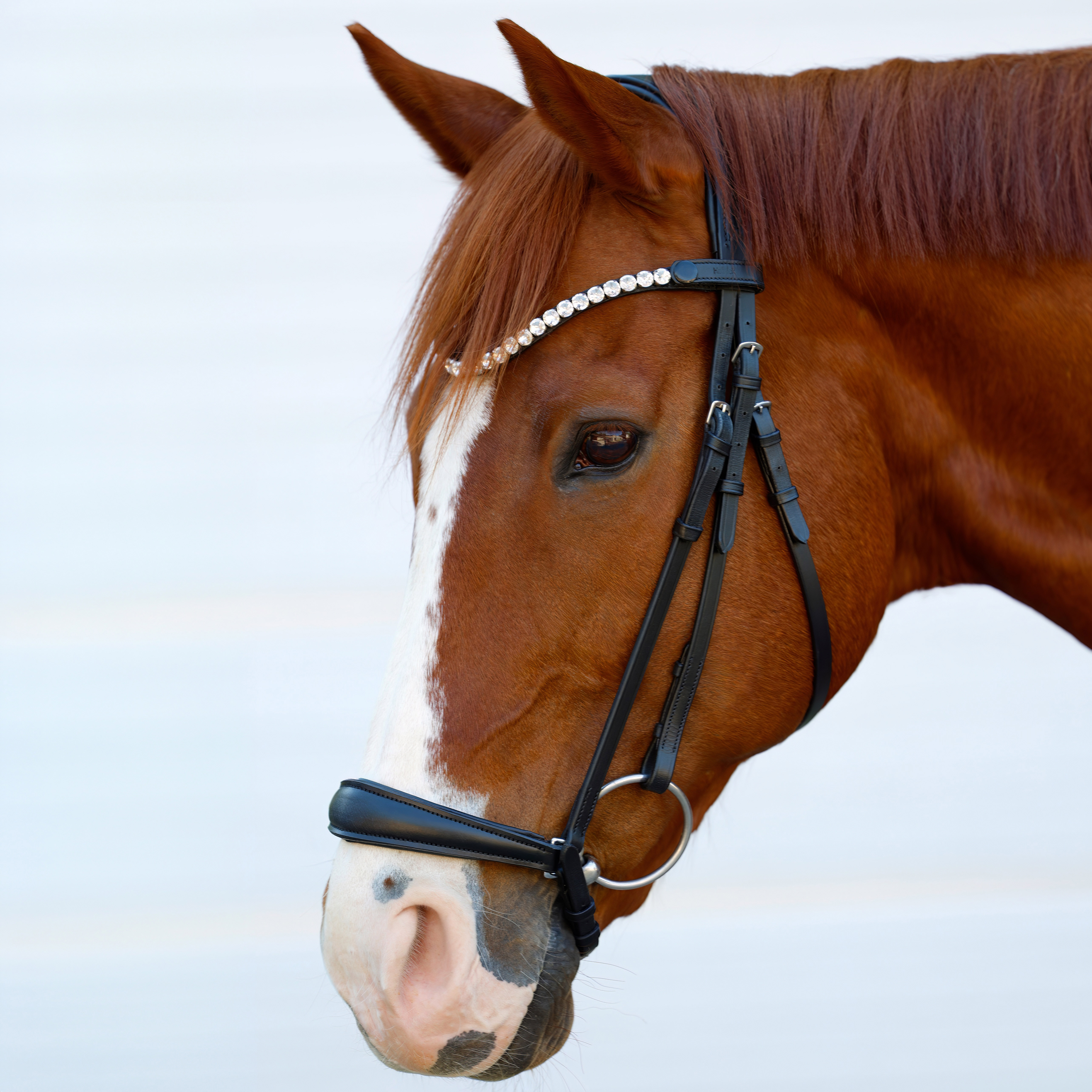Trense-Comfort-Hannoveranisch-hannover-hannoversch-Schwarz-Unterlegt-Zaumhaken
