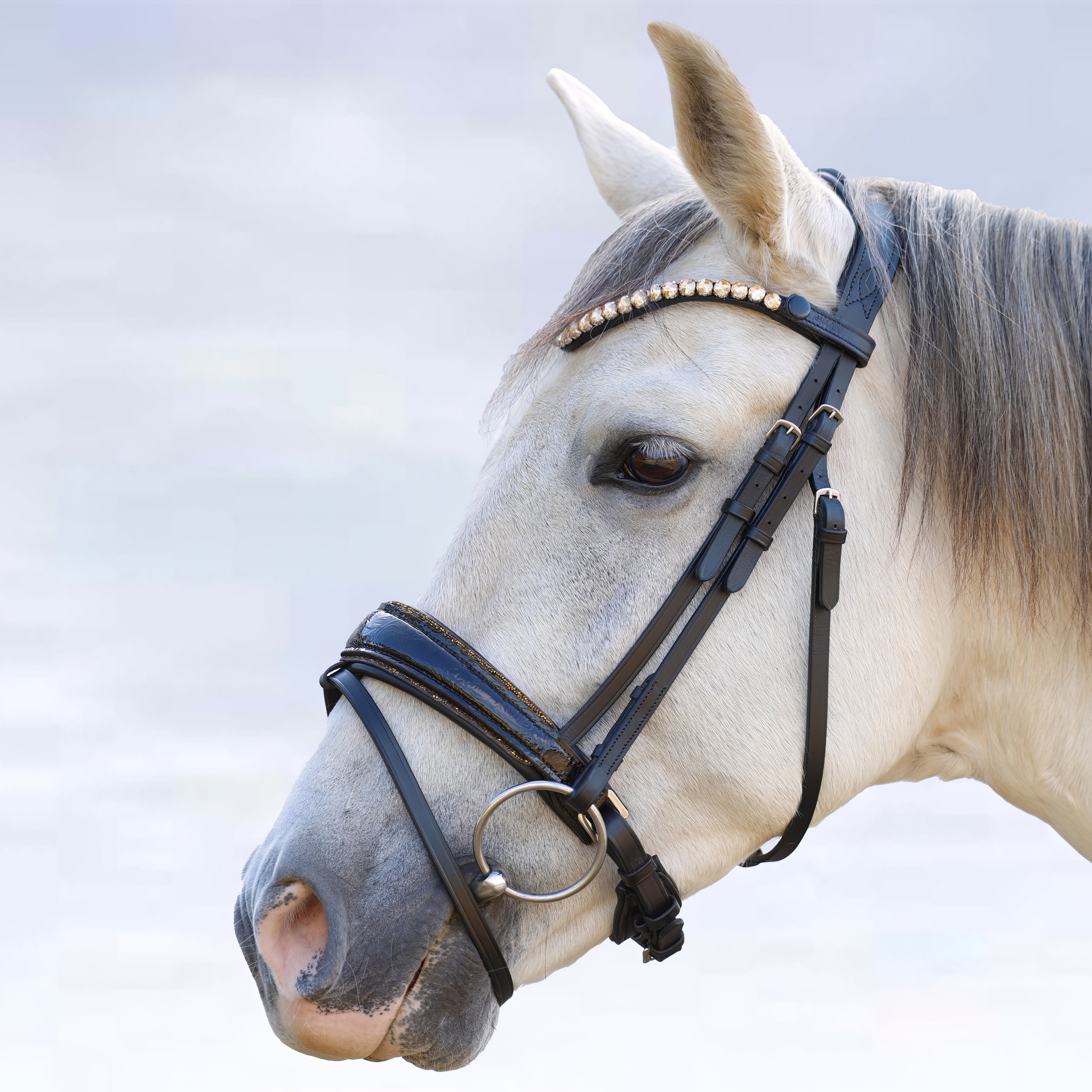 Trense-Paisley-Lack-Muster-Glitzer-Schwarz-Gold-entfernbarer-Sperrriemen